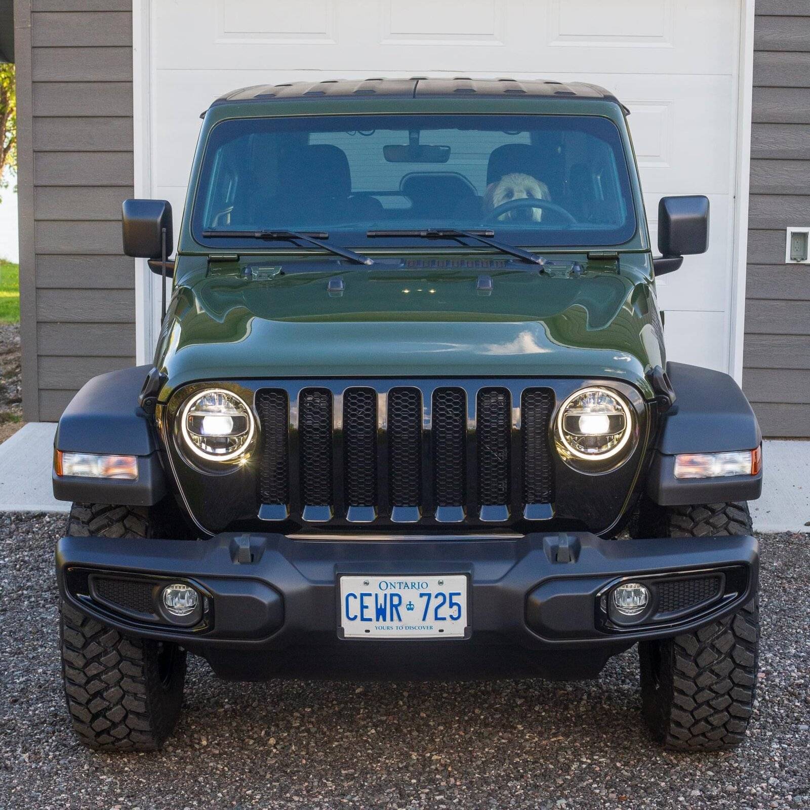 Jeep Wrangler JL Jeep Dog pics 7AD90501-66FB-46CA-B6A3-AECACA2D34FB