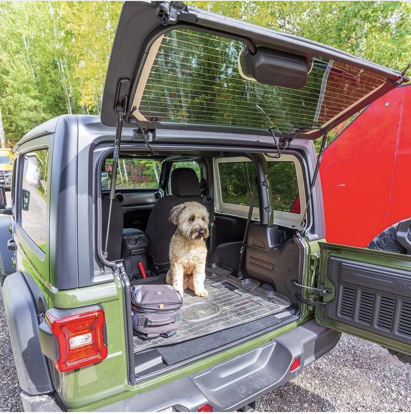Jeep Wrangler JL Jeep Dog pics DEBF5B2A-51AC-410F-8D01-D824BCC29C08