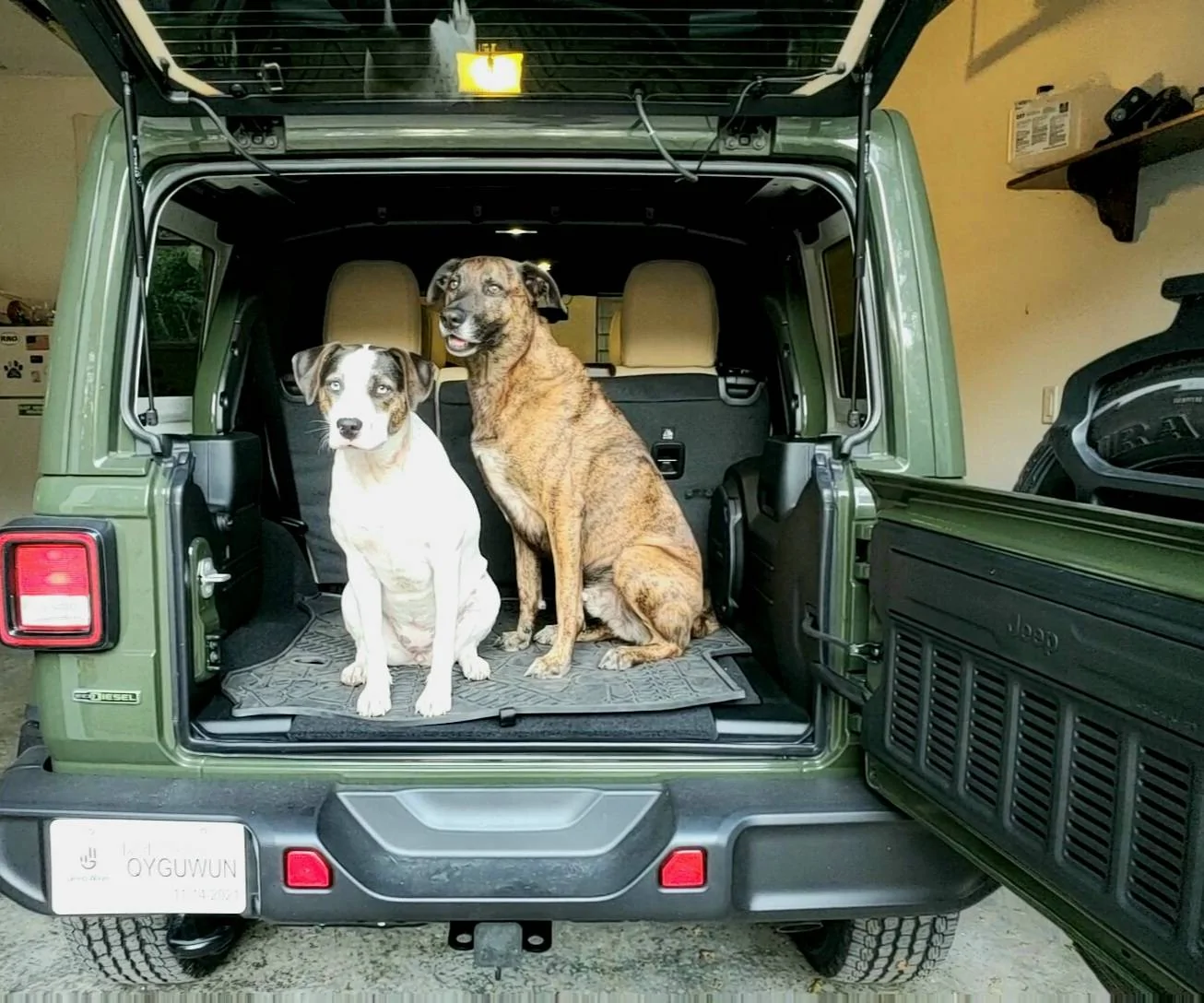 Jeep Wrangler JL Jeep Dog pics 20211021_175852_capture(0)