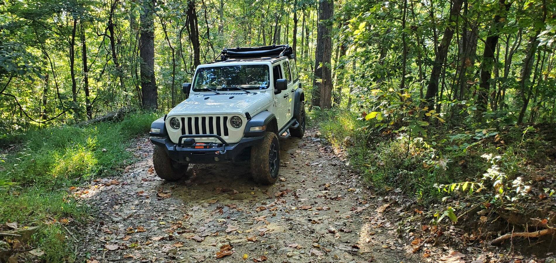 Jeep Wrangler JL Anyone installed a front locker and rear LSD? 247C65A9-1BD7-4AE7-A568-986EC931F77B