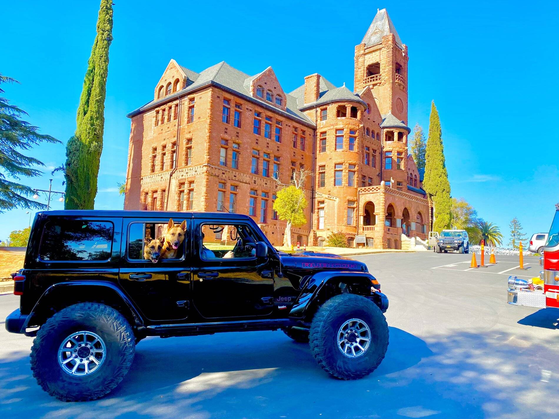 Jeep Wrangler JL Jeep Dog pics 8D9065A9-7BA2-483B-8A91-AF1363202B5A