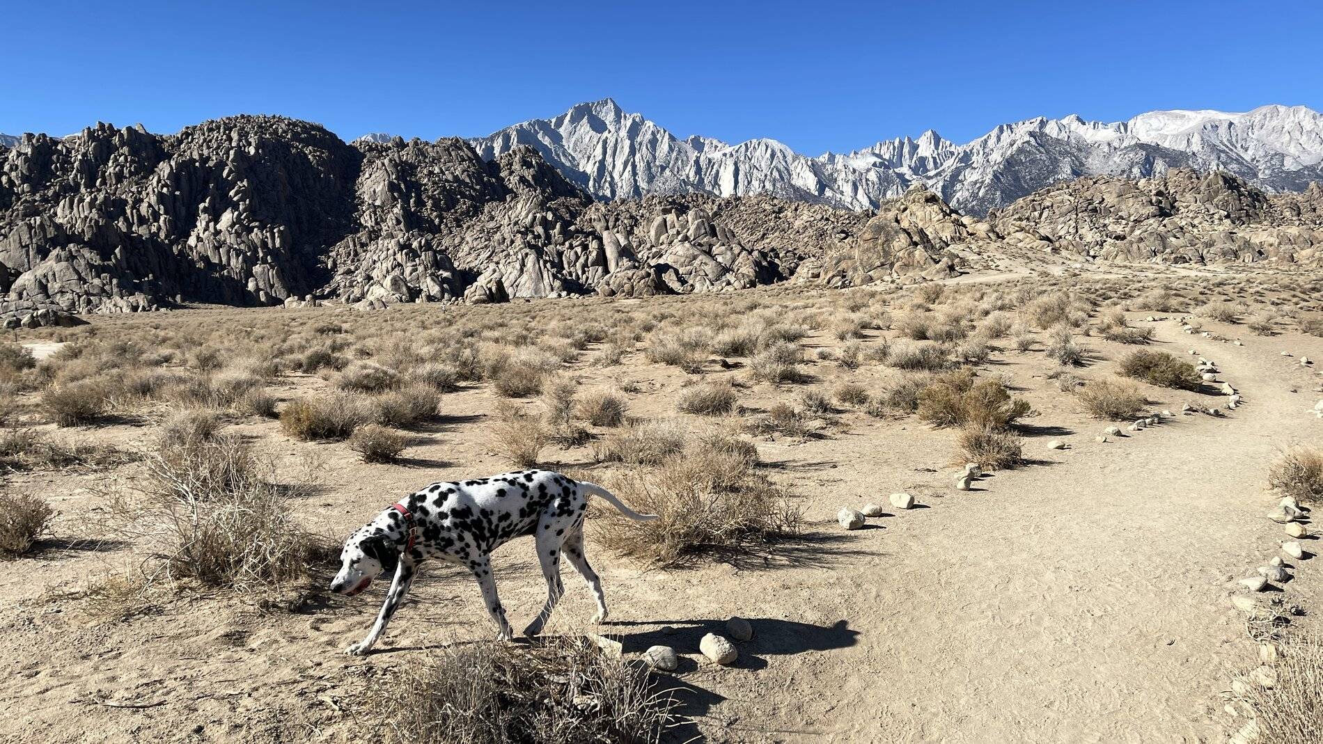 Jeep Wrangler JL Rubicon 4Xe at Eastern sierras off roading 05F6BED6-5EDE-418A-890E-FA4B28E2B3C0