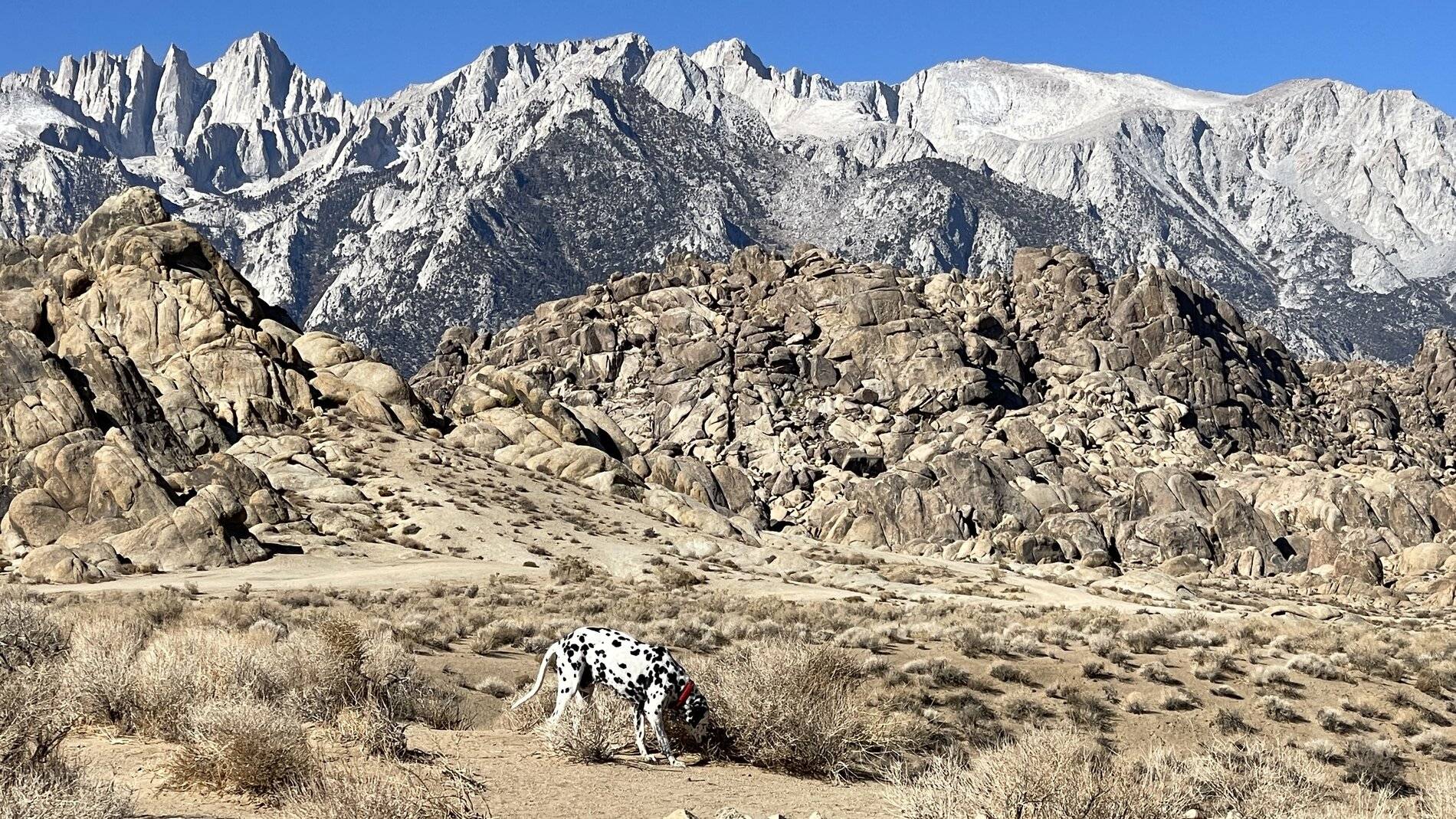 Jeep Wrangler JL Rubicon 4Xe at Eastern sierras off roading 2C1B8FF6-4437-49A4-B792-F058548BEC13