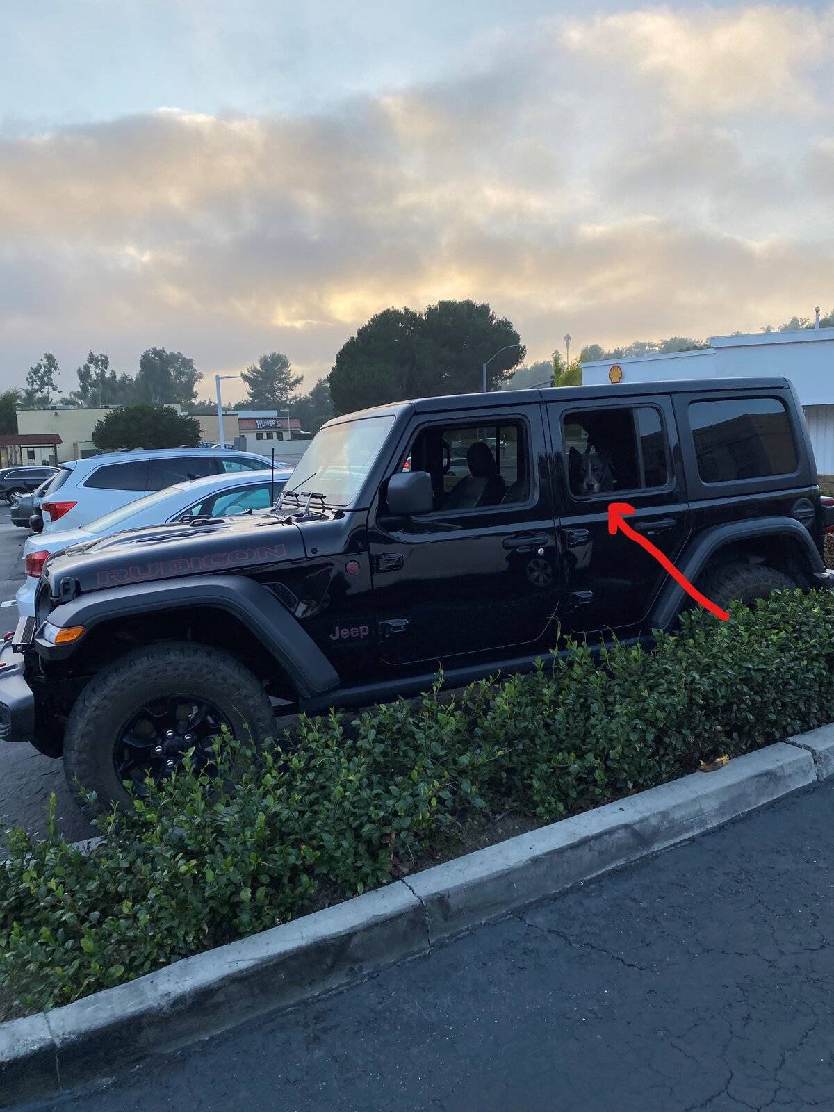 Jeep Wrangler JL Jeep Dog pics Inkeddog1121_LI