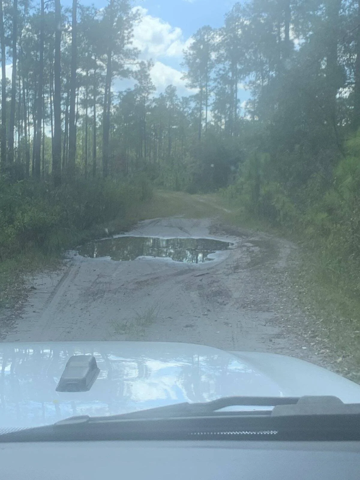 Jeep Wrangler JL Where in Florida 6B313929-0B94-43B4-A7B5-ACC795F3124C