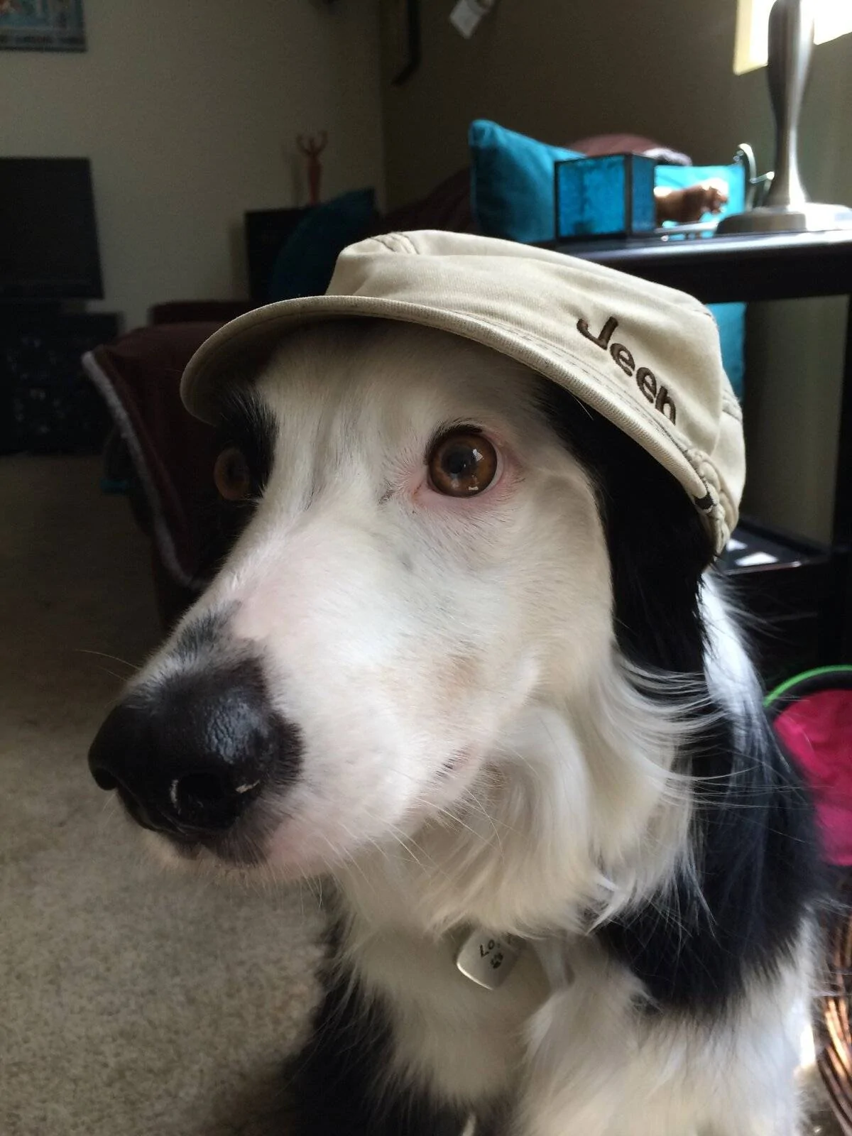 loki-jeep.jpg
