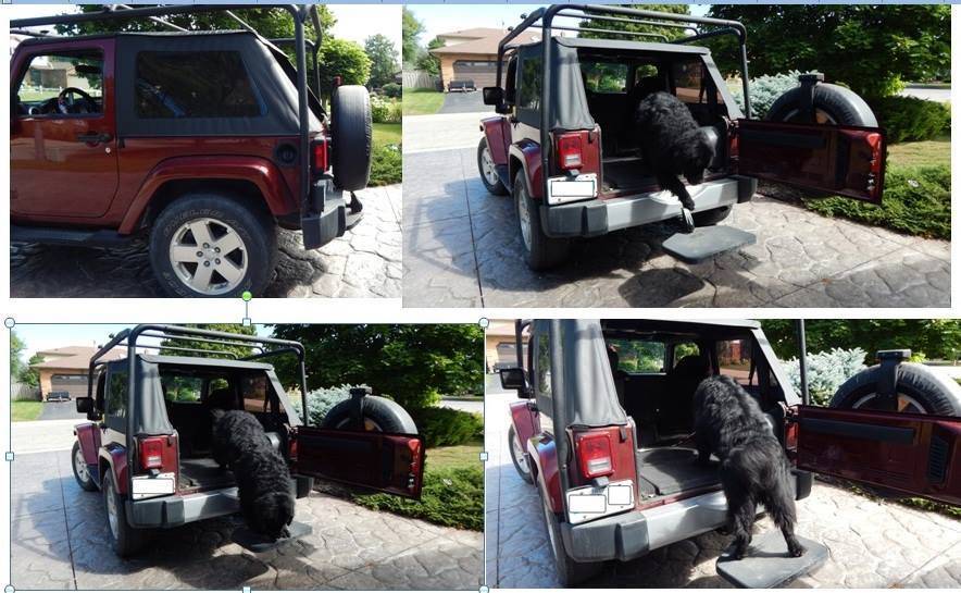 Jeep Wrangler JL Jeep Dog pics twiste