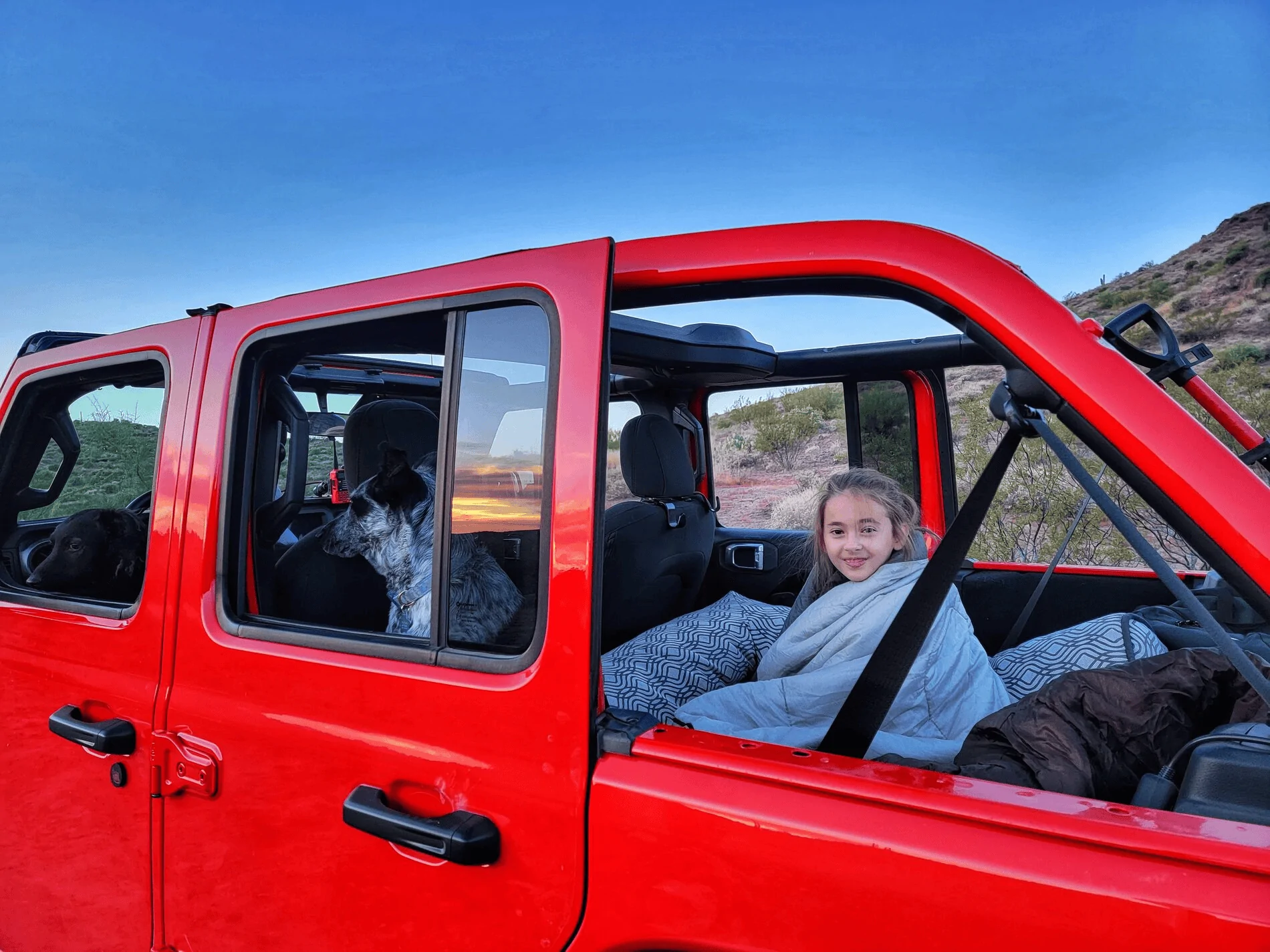 Jeep Wrangler JL Jeep Dog pics 1637249645107