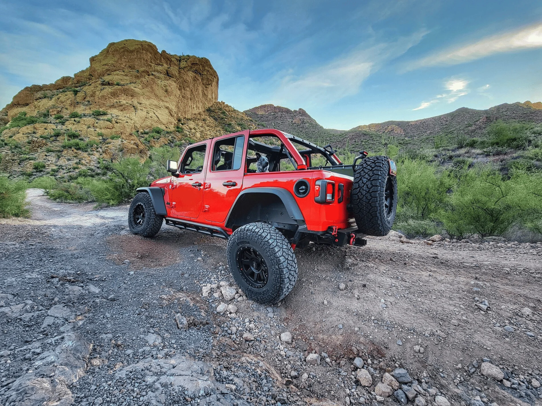 Jeep Wrangler JL Jeep Dog pics 1637249700206