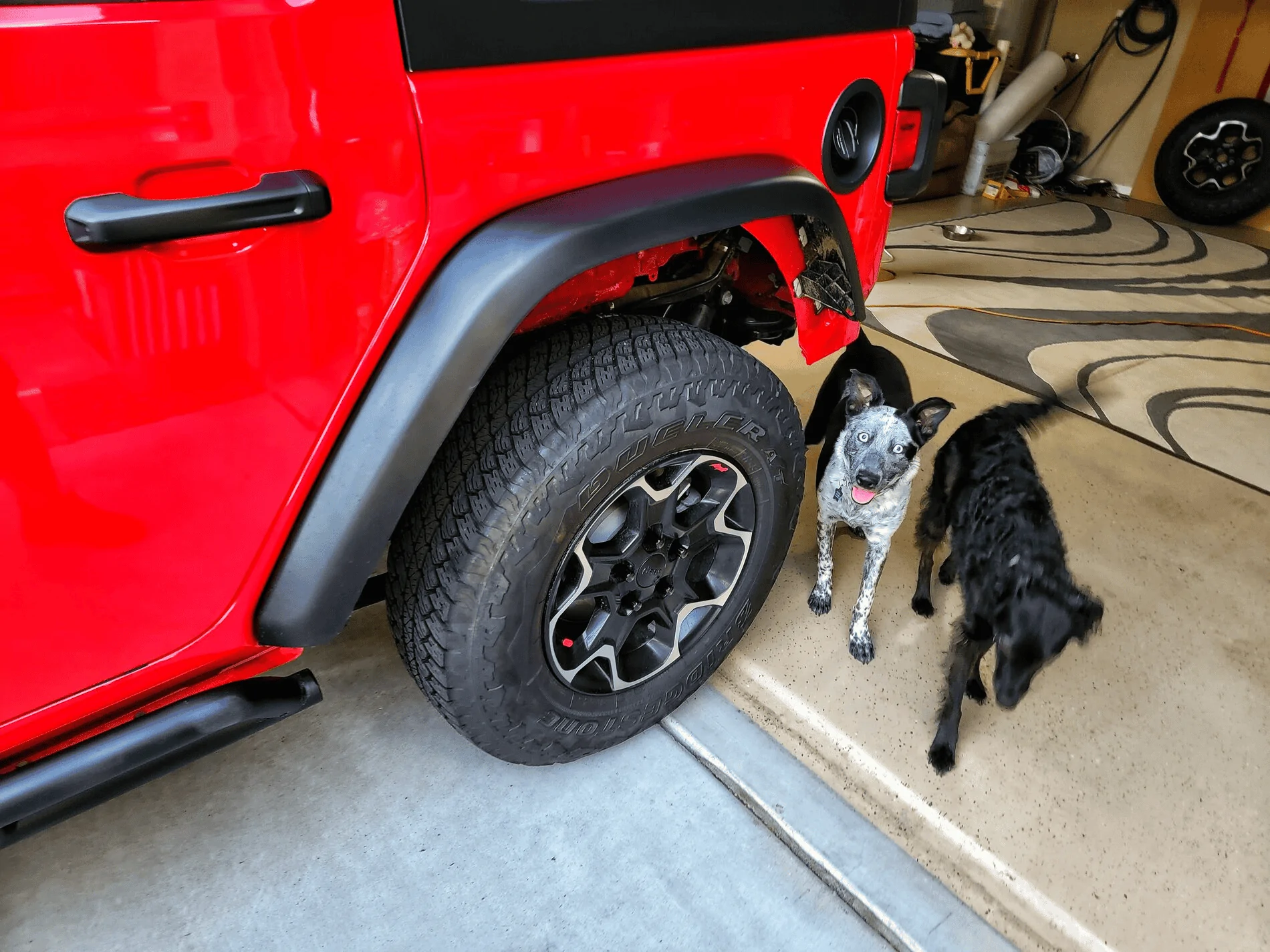 Jeep Wrangler JL Jeep Dog pics 1637249862863