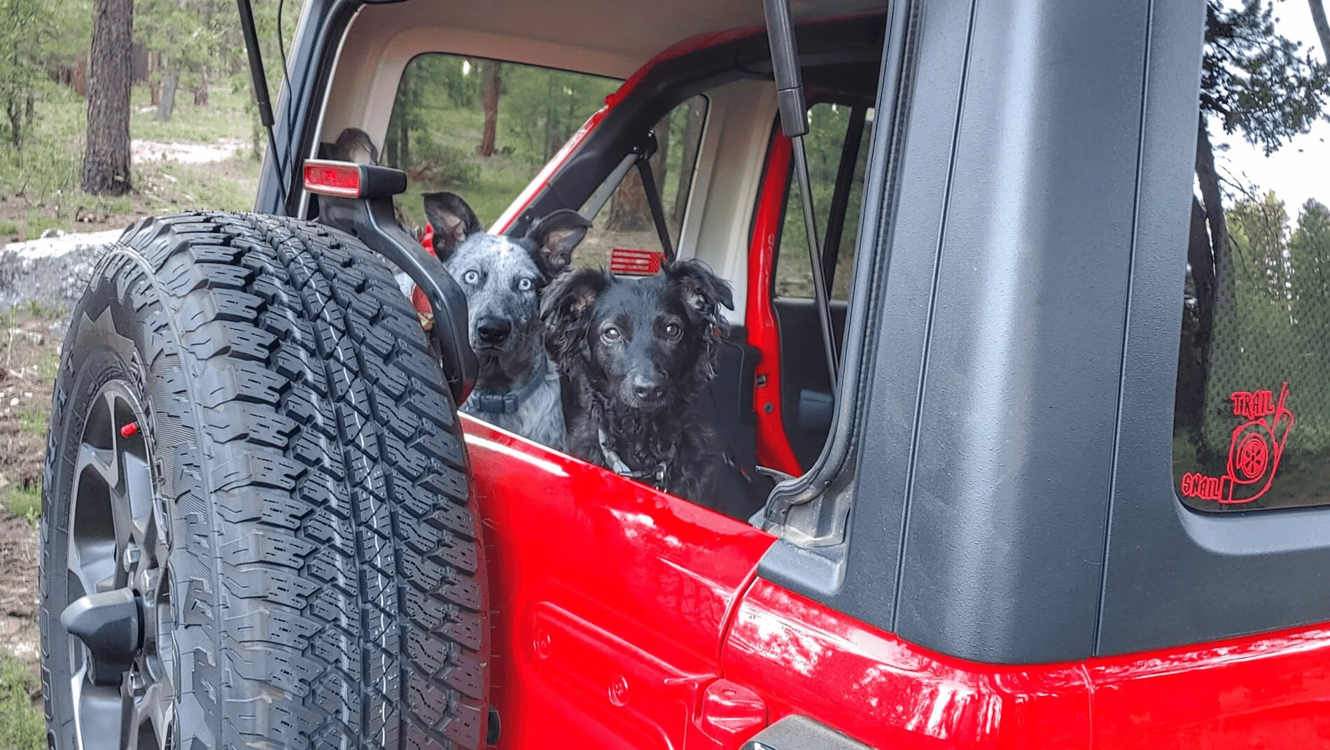 Jeep Wrangler JL Jeep Dog pics 1637249984348