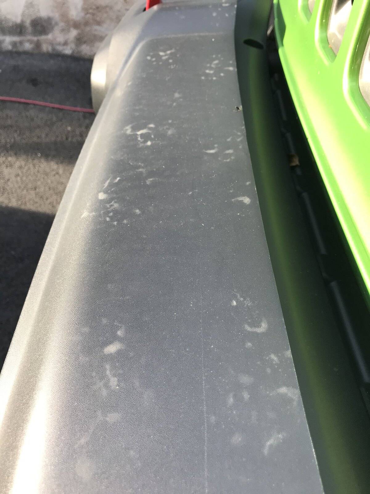 Jeep Wrangler JL wth, I hate squirrels.. 51696482379_ff99fc6579_k
