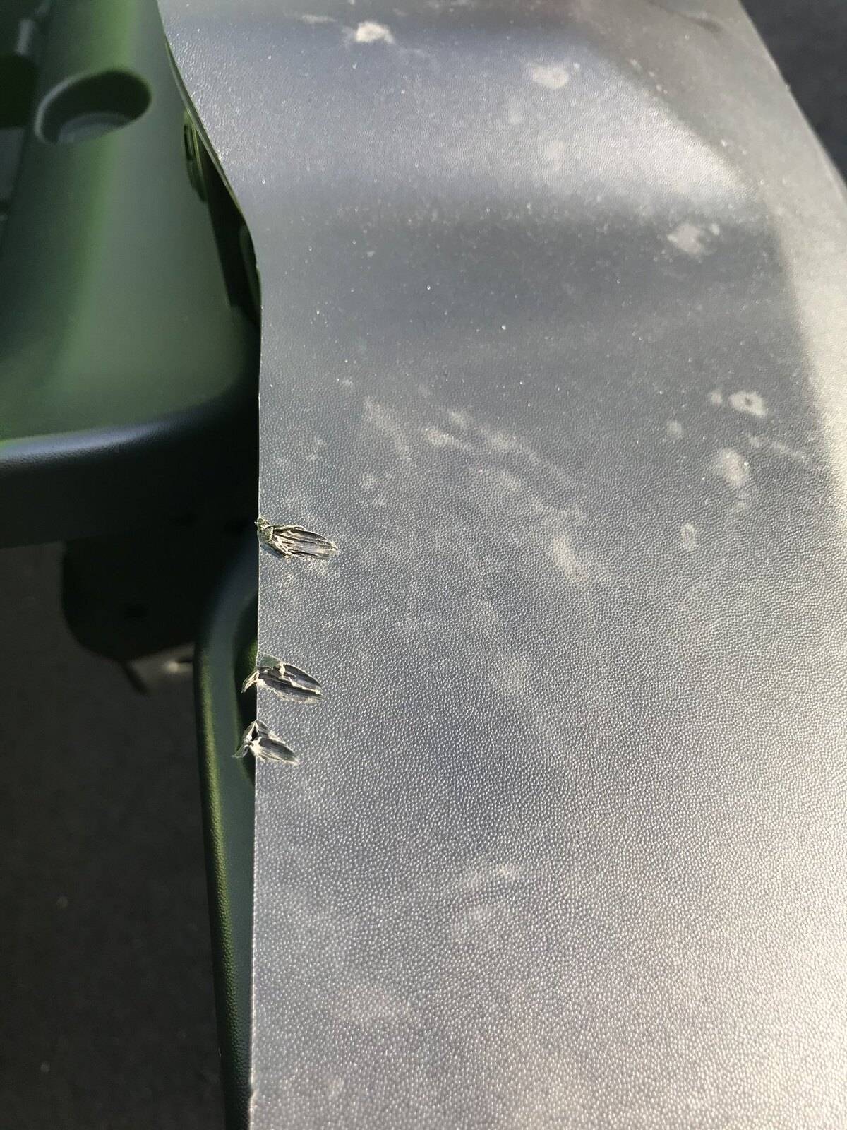 Jeep Wrangler JL wth, I hate squirrels.. 51696695405_c1992e3a9d_k