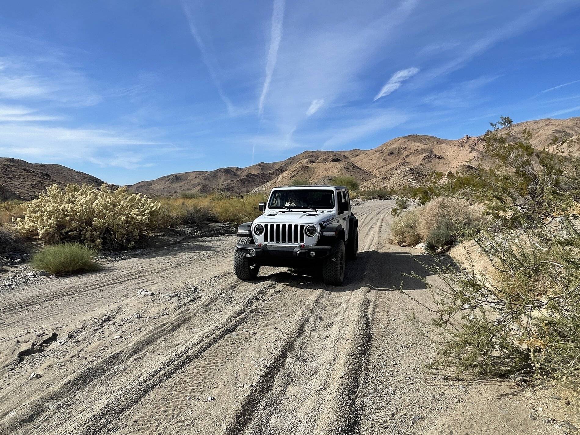 Jeep Wrangler JL I need wheeling buddies 61CF8B4B-F274-4D59-AFB5-F8BC47C20E57