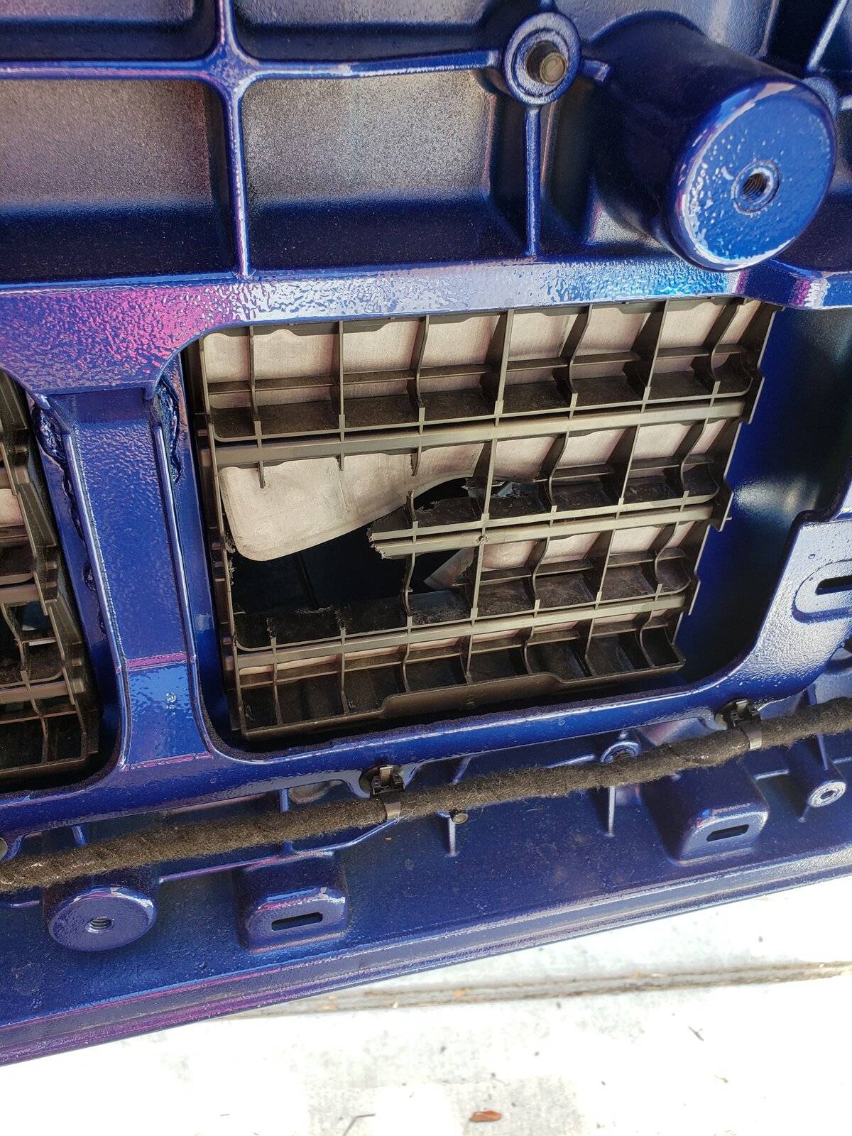 Jeep Wrangler JL wth, I hate squirrels.. 20200701_103430