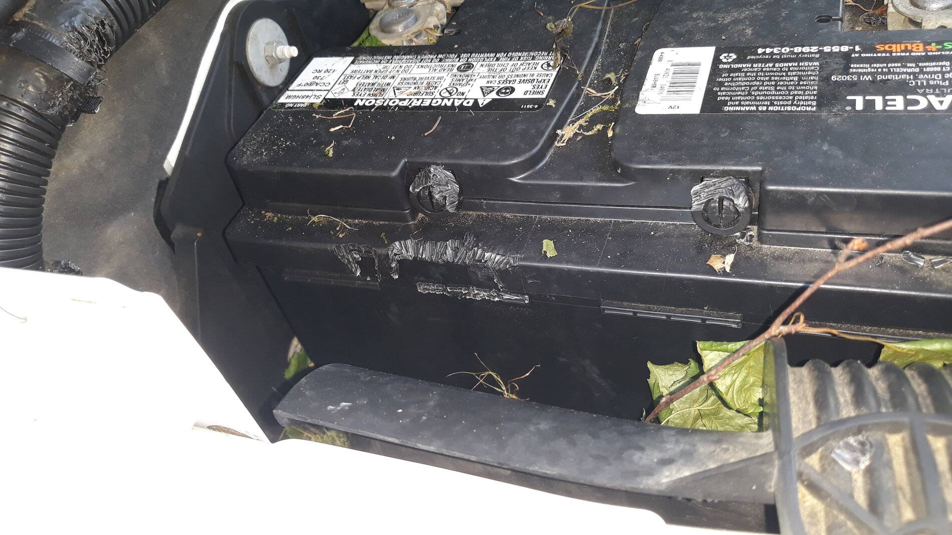 Jeep Wrangler JL wth, I hate squirrels.. 20210712_073816