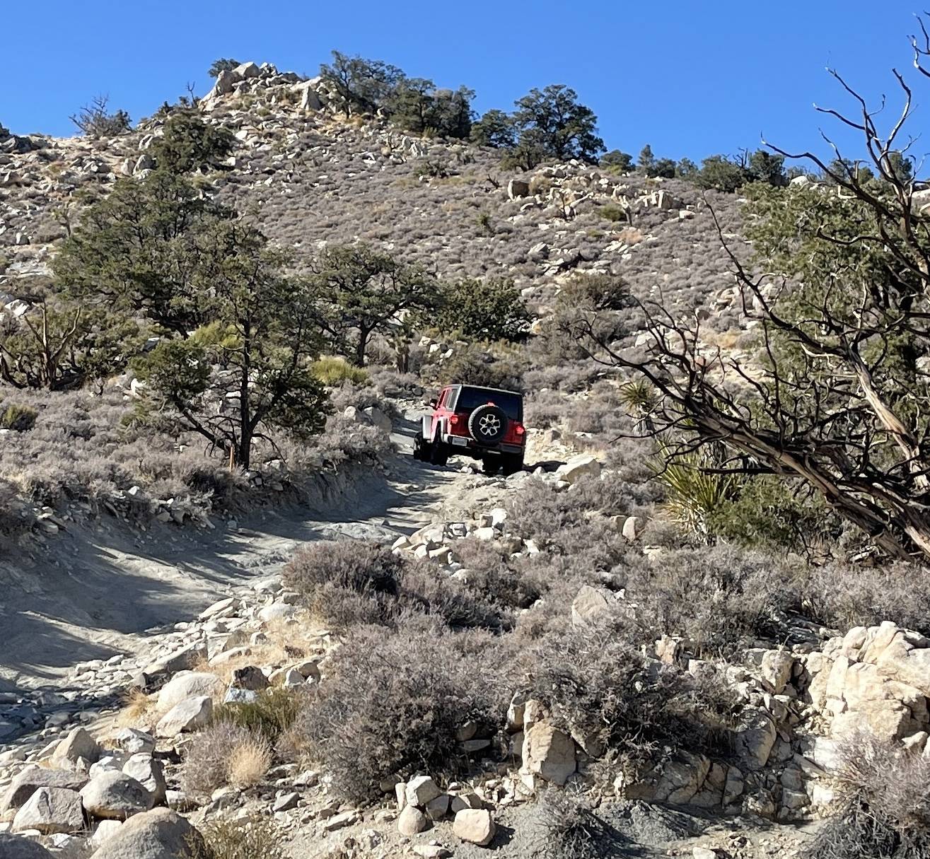 Jeep Wrangler JL I need wheeling buddies 3D3C1586-5C85-4604-B155-F72830B50FCF