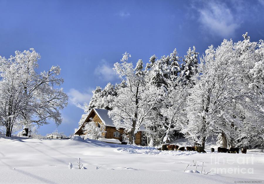 vermont-winter-beauty-deborah-benoit.jpg
