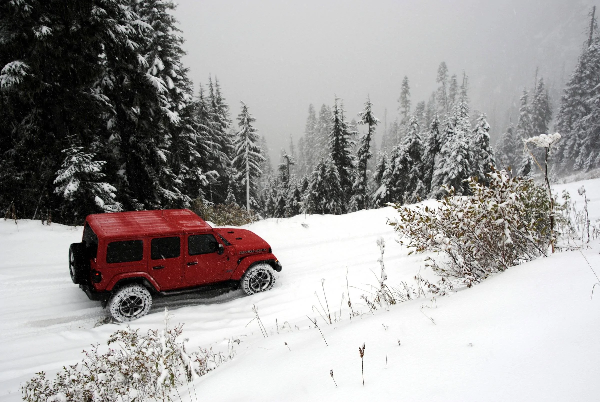 Jeep Wrangler JL Possible Altitude purchase. FD860AC9-B081-4772-9F05-40D8854ECA2A