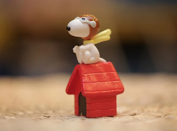 ef4ac6b7089d1ec42a47e2915088cc2e--snoopy-pilots.jpg