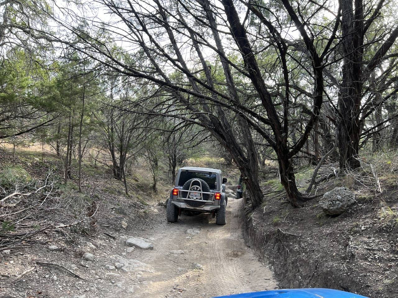 Jeep Wrangler JL Hidden Falls - December 29th 888573A0-54F8-4A8C-A817-5499CFAA367A