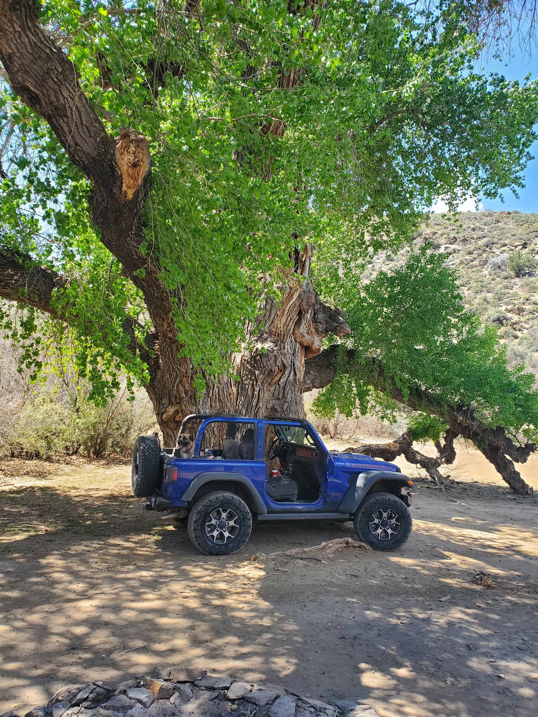 Jeep Wrangler JL Tops off 2 door pics! AA7F8EAA-6A6E-4D9B-9FA0-F7351DF92838