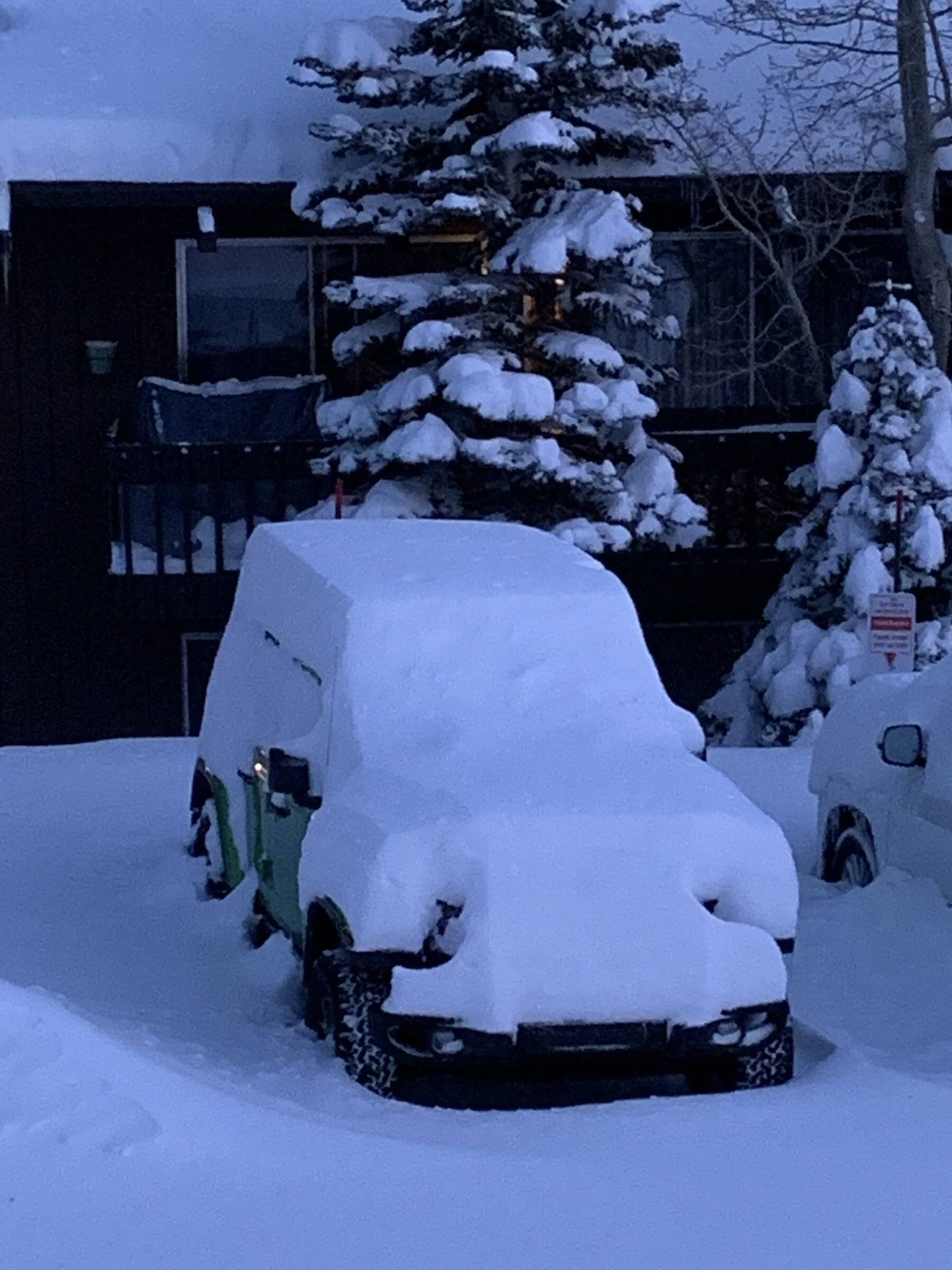 Jeep Wrangler JL Snow and having a SkyView one touch? B51F5AE2-0FE2-4CCB-B802-3FAEAFA90FB4