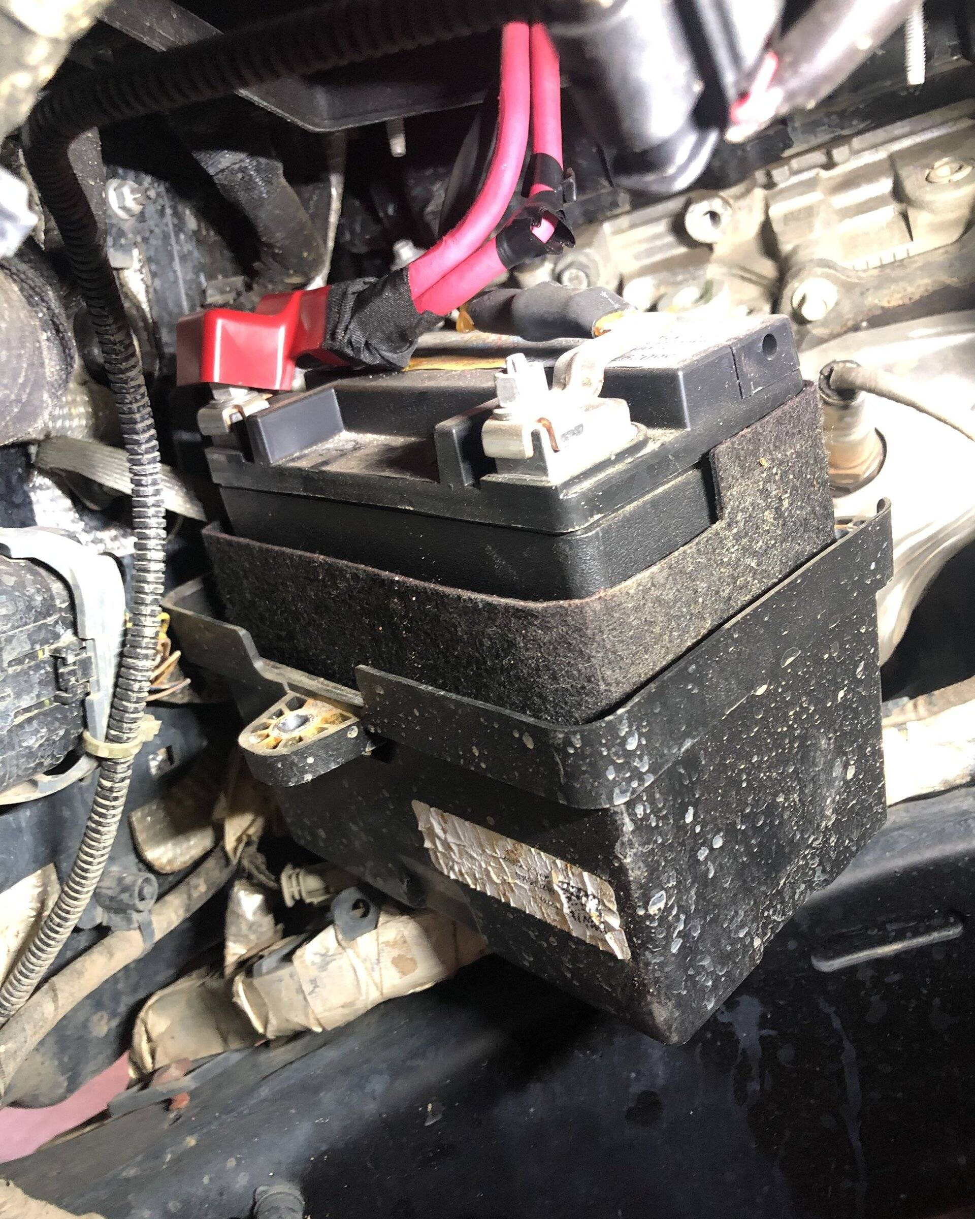 Jeep Wrangler JL Crystal Rubi build… 40D2F64C-9073-47A9-B42B-66EC20C29F47
