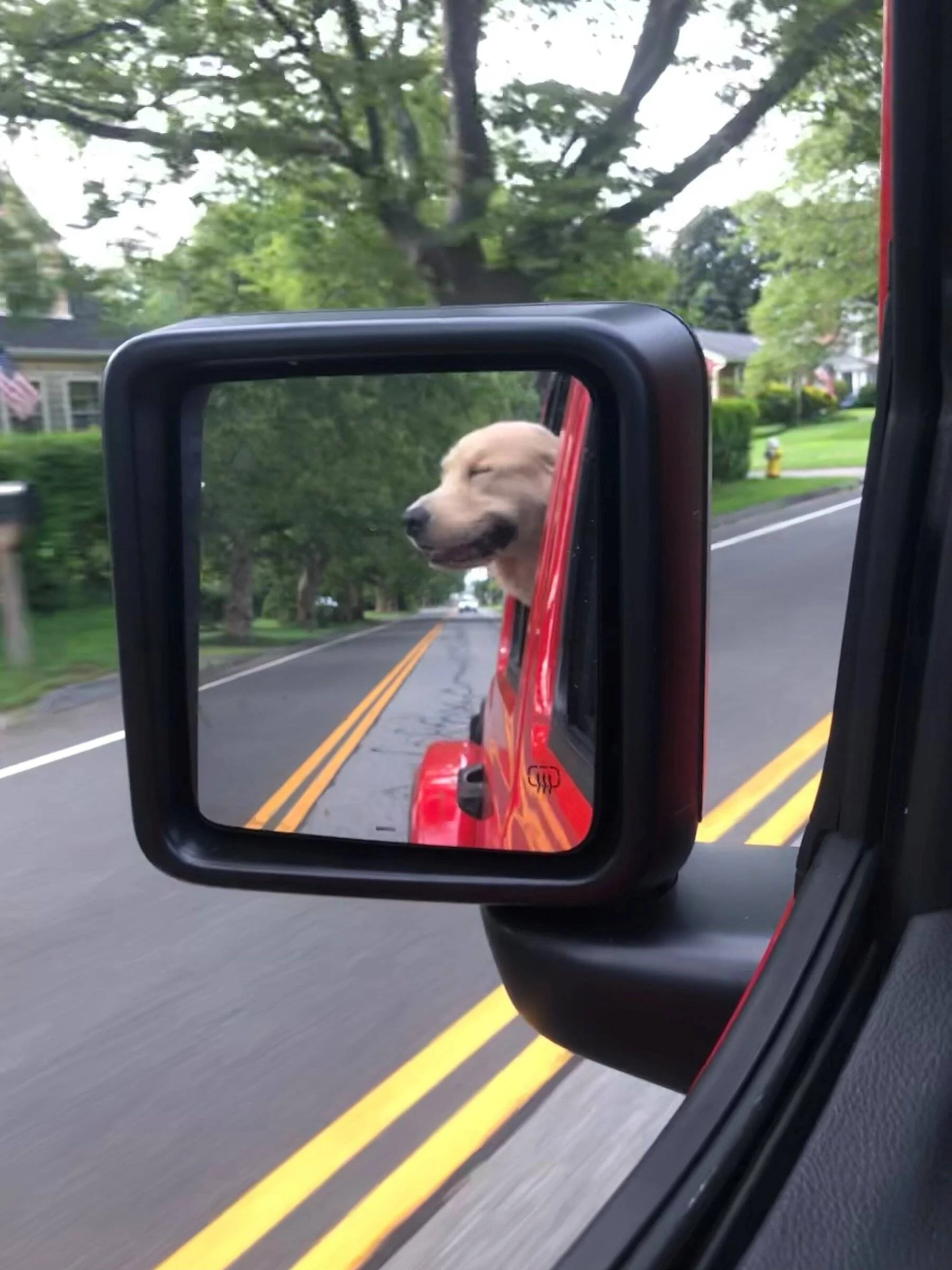 Jeep Wrangler JL Must have accessories Tenny