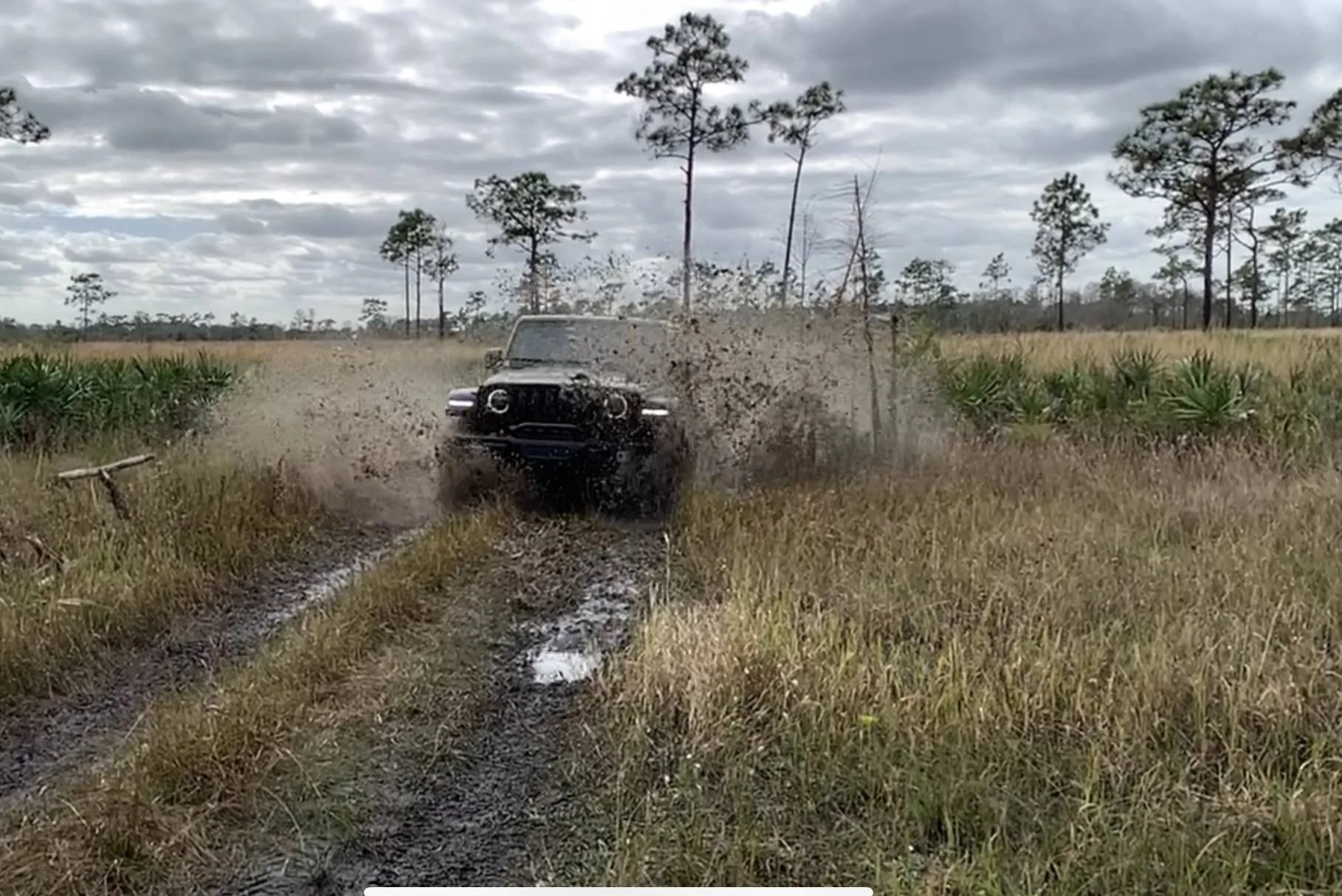Jeep Wrangler JL Florida Roll Call! D652168C-0179-42BD-A225-C8D128B6C265