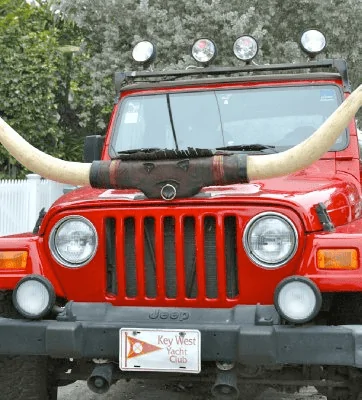 Jeep Wrangler JL Western Wrangler Package 1642280344849