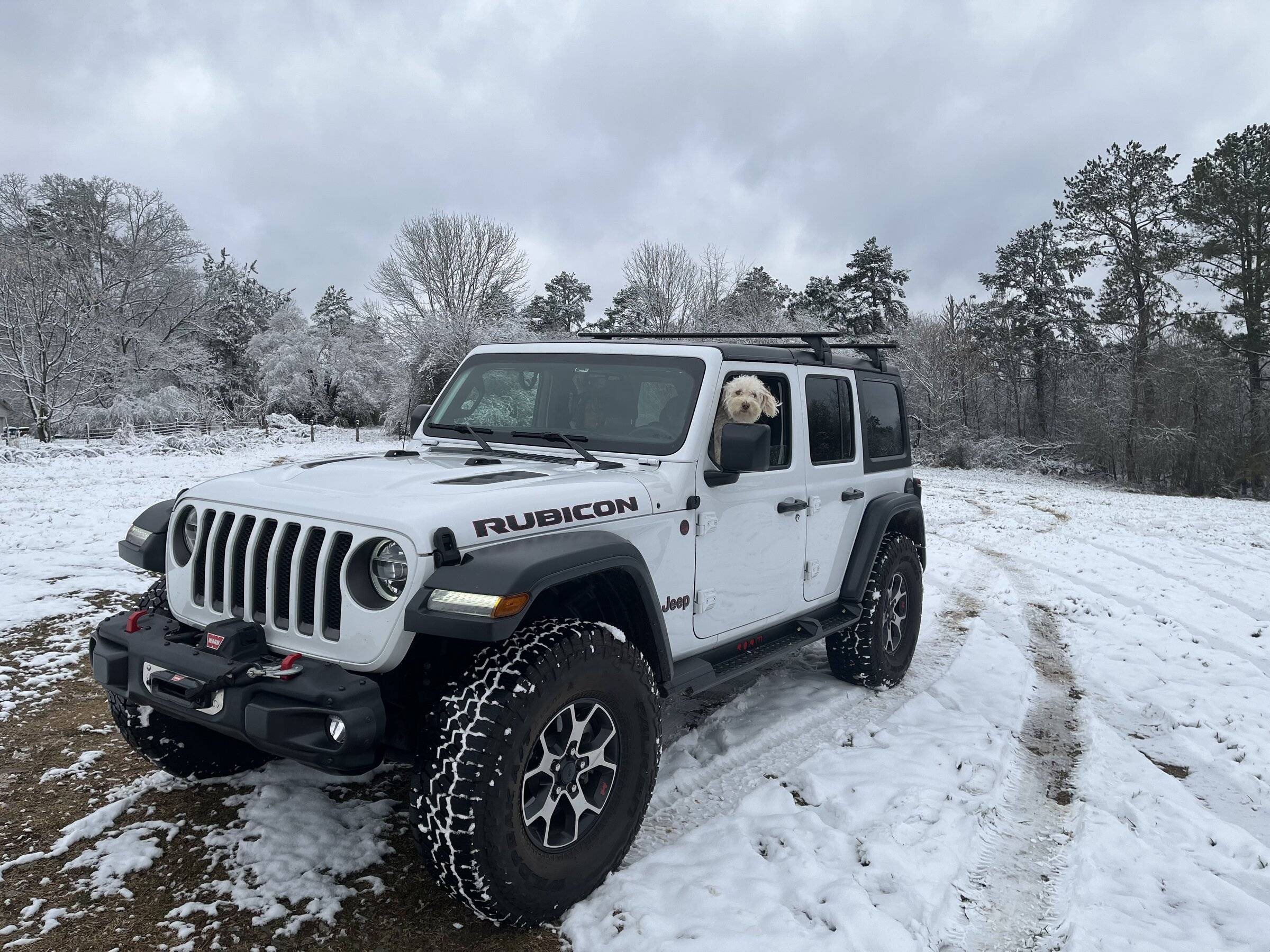 Jeep Wrangler JL Jeep Dog pics 66D50E8E-C4E0-4AB3-91A1-B2D15647DA5E