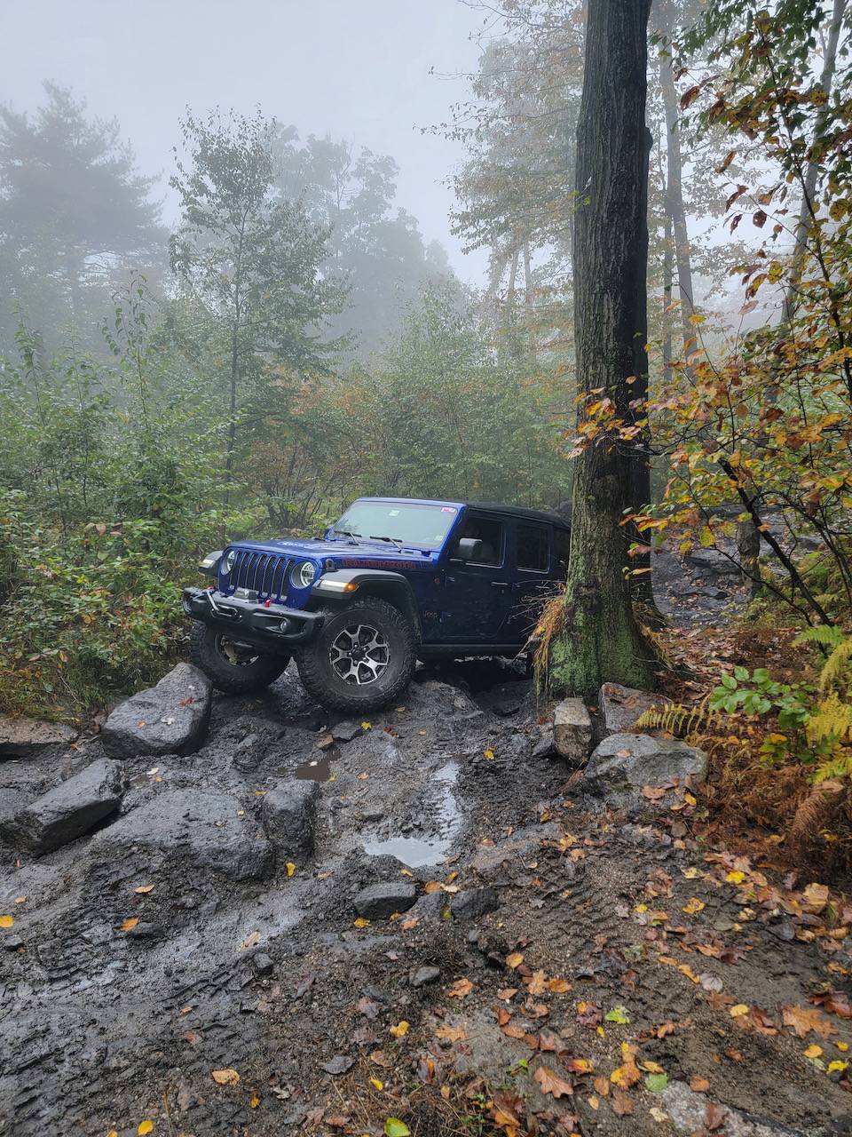 Jeep Wrangler JL Feedback on Quadratec wheels 20211010_102827