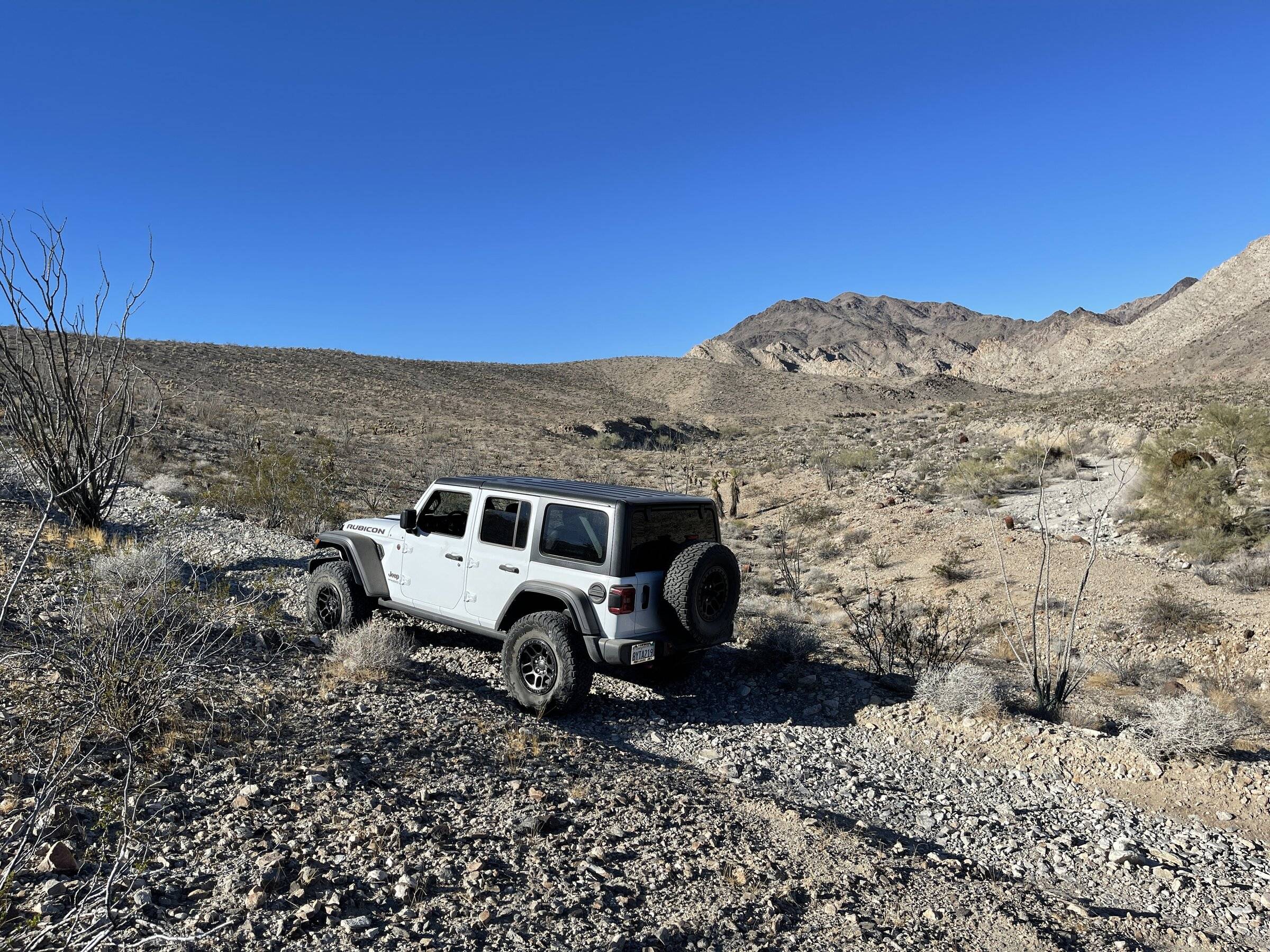 Jeep Wrangler JL Went wheelin again ABA3F7D8-C800-4E67-83DD-70BAA8783936