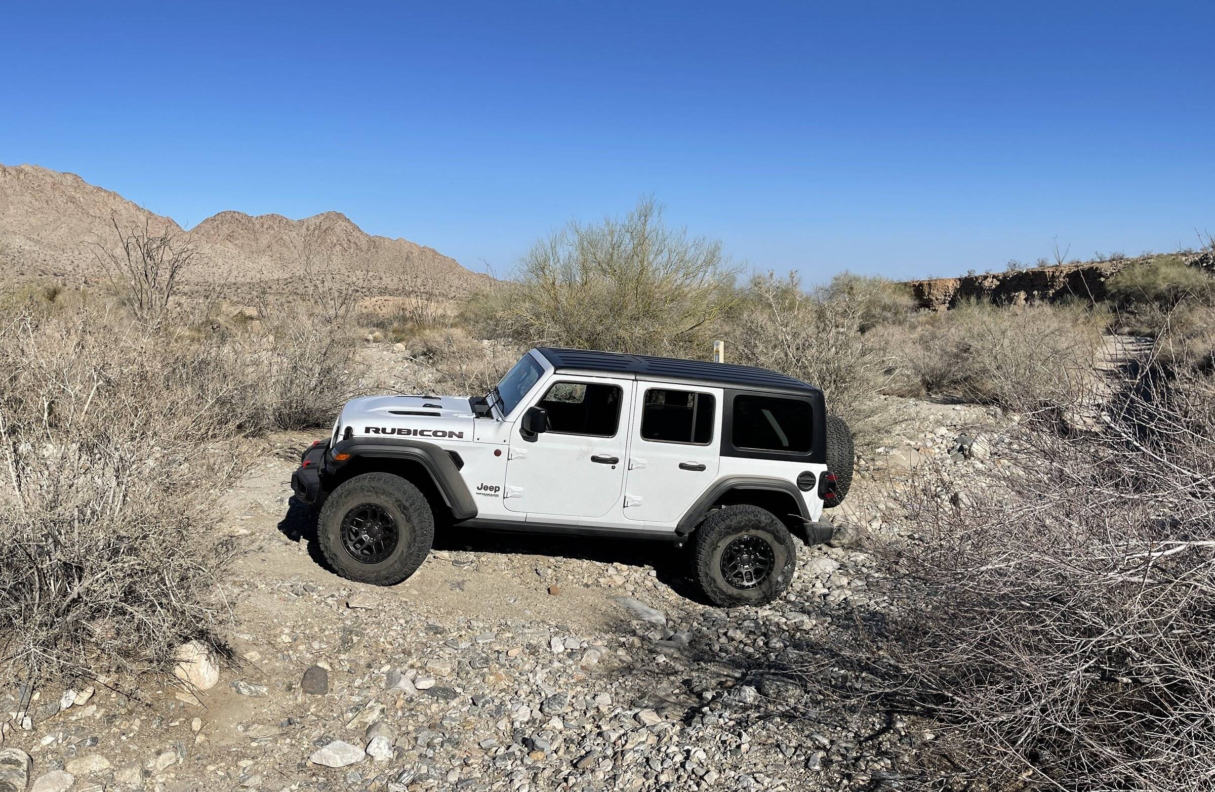 Jeep Wrangler JL Went wheelin again 9340428D-60F3-403B-A1AF-04EF0793927C