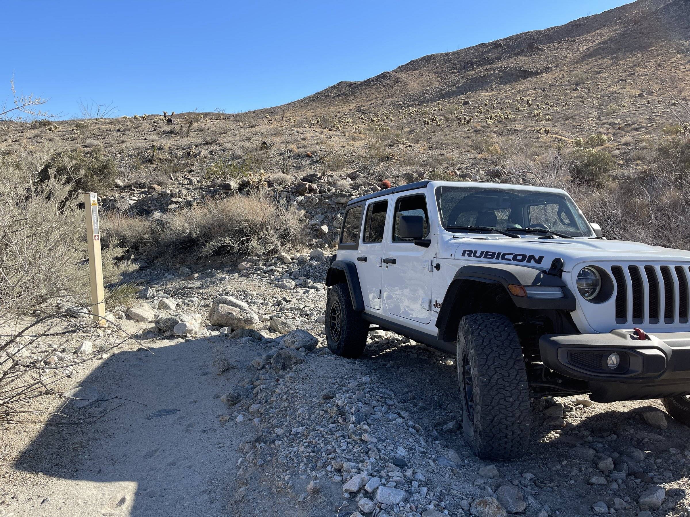 Jeep Wrangler JL Went wheelin again 85D08548-BC95-4083-839D-299B4B8F8773