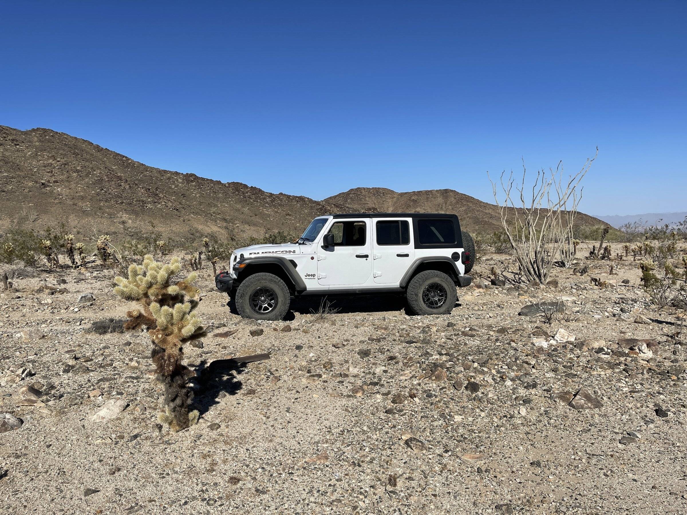Jeep Wrangler JL Went wheelin again 6EF815BF-E21F-4942-8D24-BCDC17A5FC81