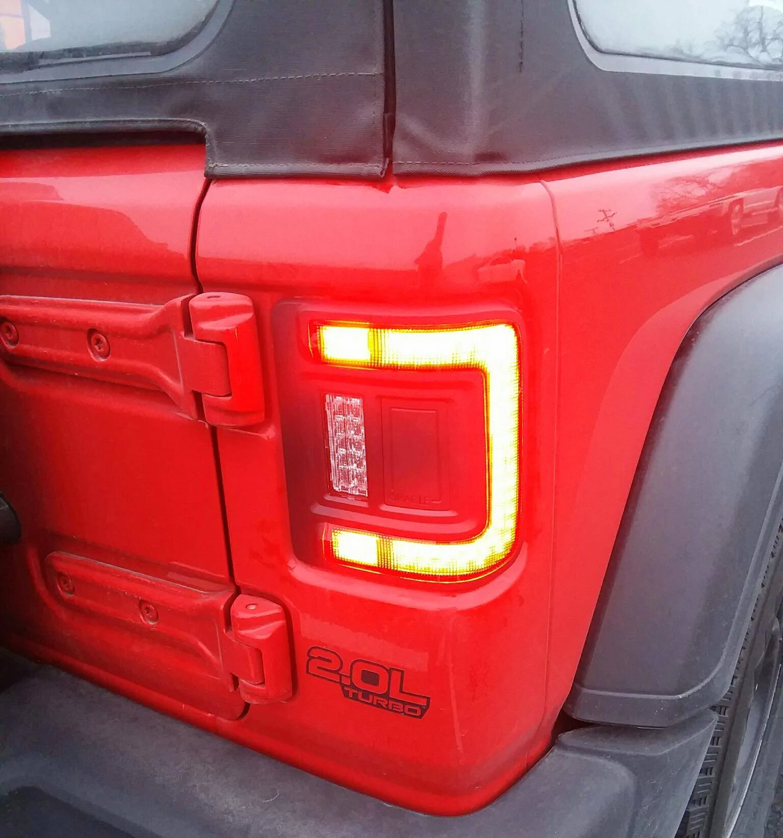 20220126_171022.jpg