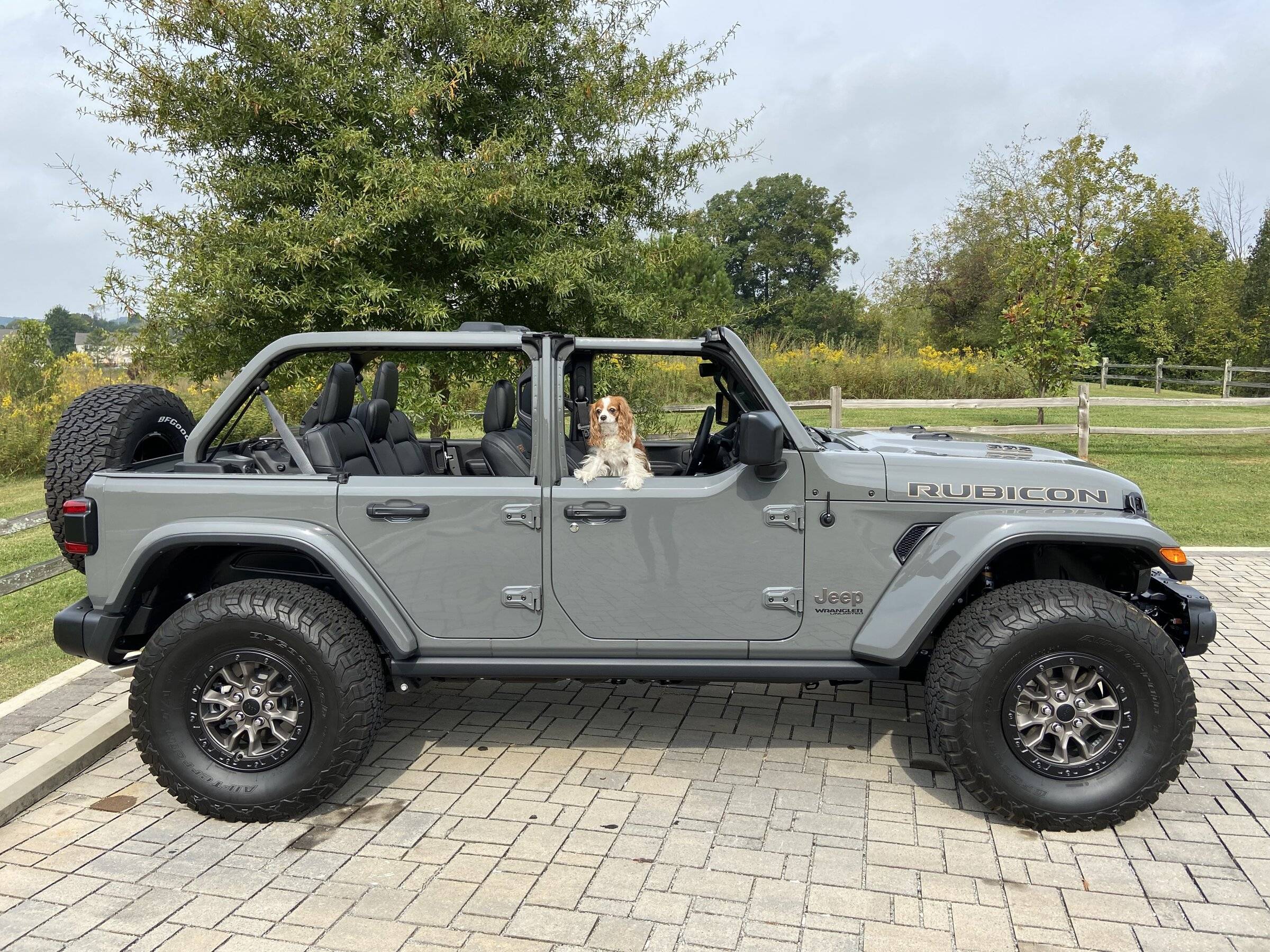 Jeep Wrangler JL Jeep Dog pics 0F7DC41B-A97A-44DF-9380-F688D52CD351