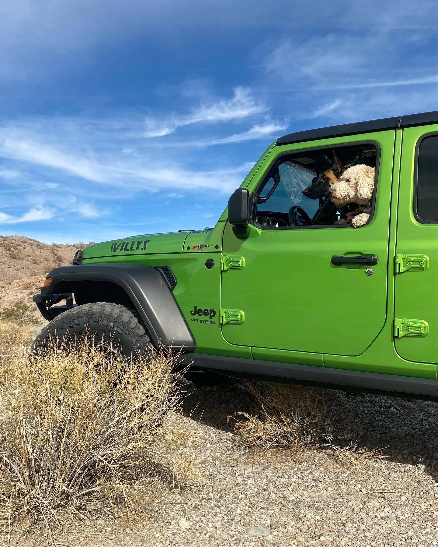 Jeep Wrangler JL Jeep Dog pics jeep 1