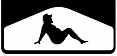 Jeep Wrangler JL Tacky Logos on Accessories 1643543606404