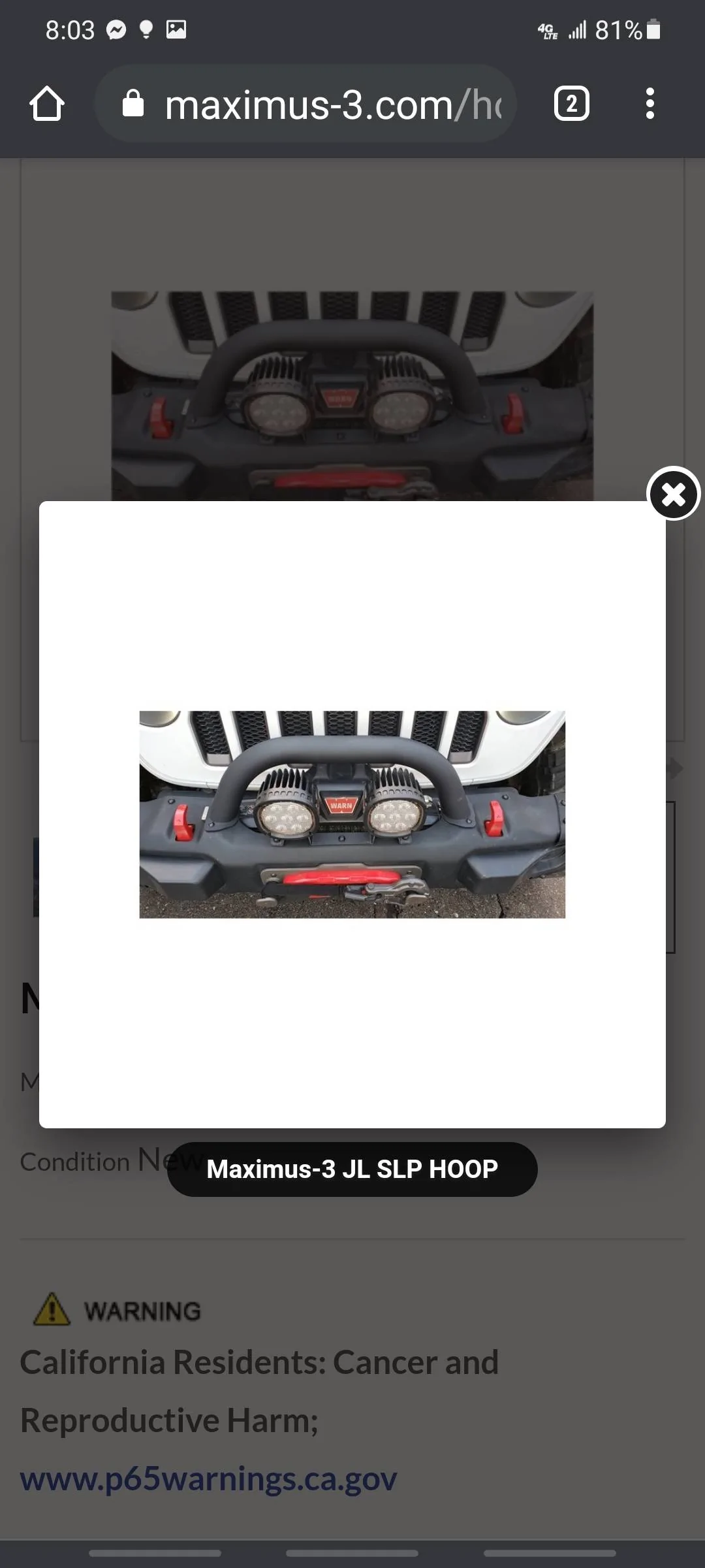 Jeep Wrangler JL Bull Bar Screenshot_20220105-200305_Chrom
