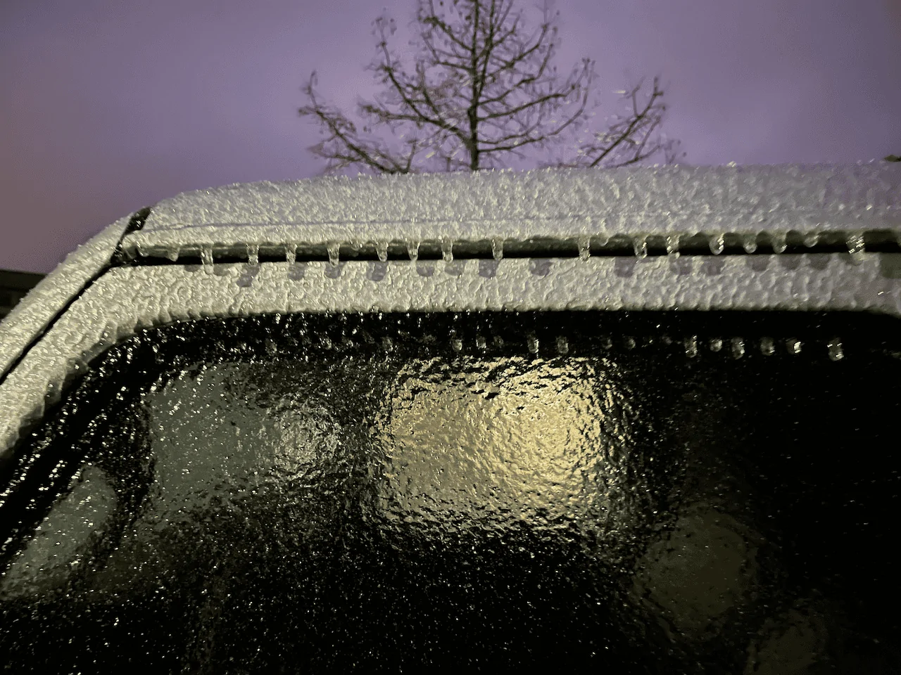 IMG_5756.png