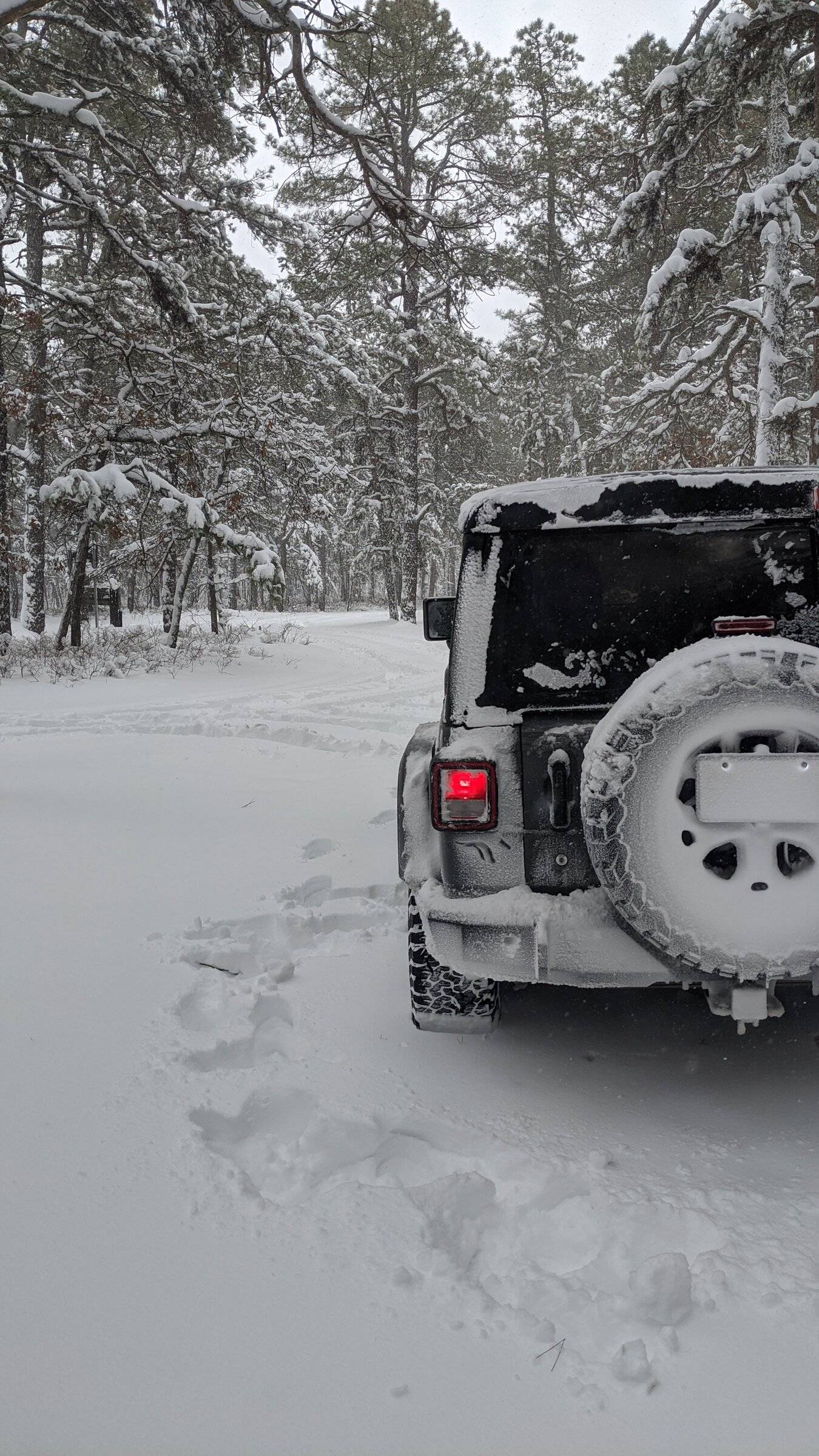 Jeep Wrangler JL Jeeps in Snow IMG_20220129_105124