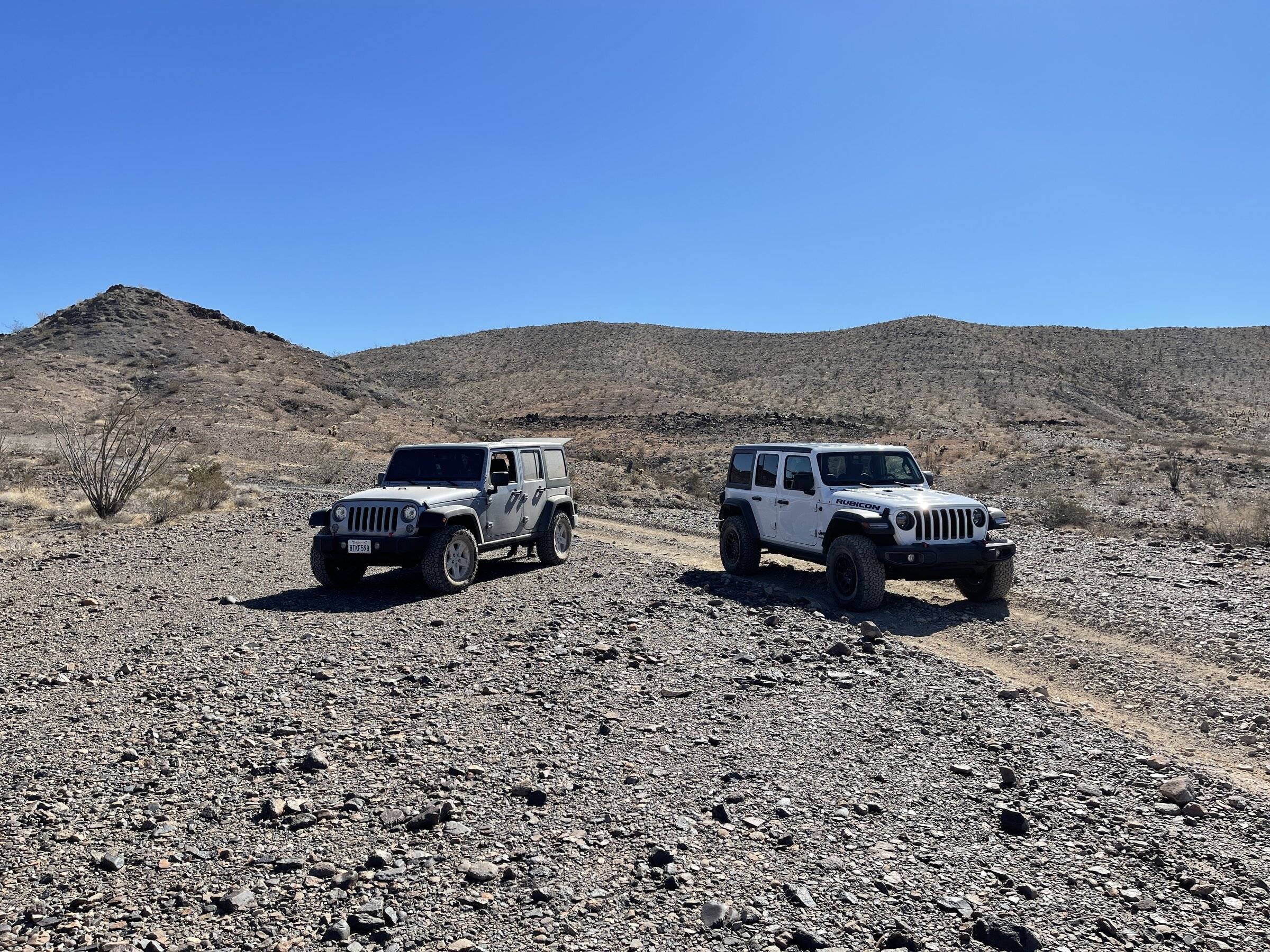 Jeep Wrangler JL Went wheelin with a buddy 454A681A-B4AB-4208-9205-A8E17687D690