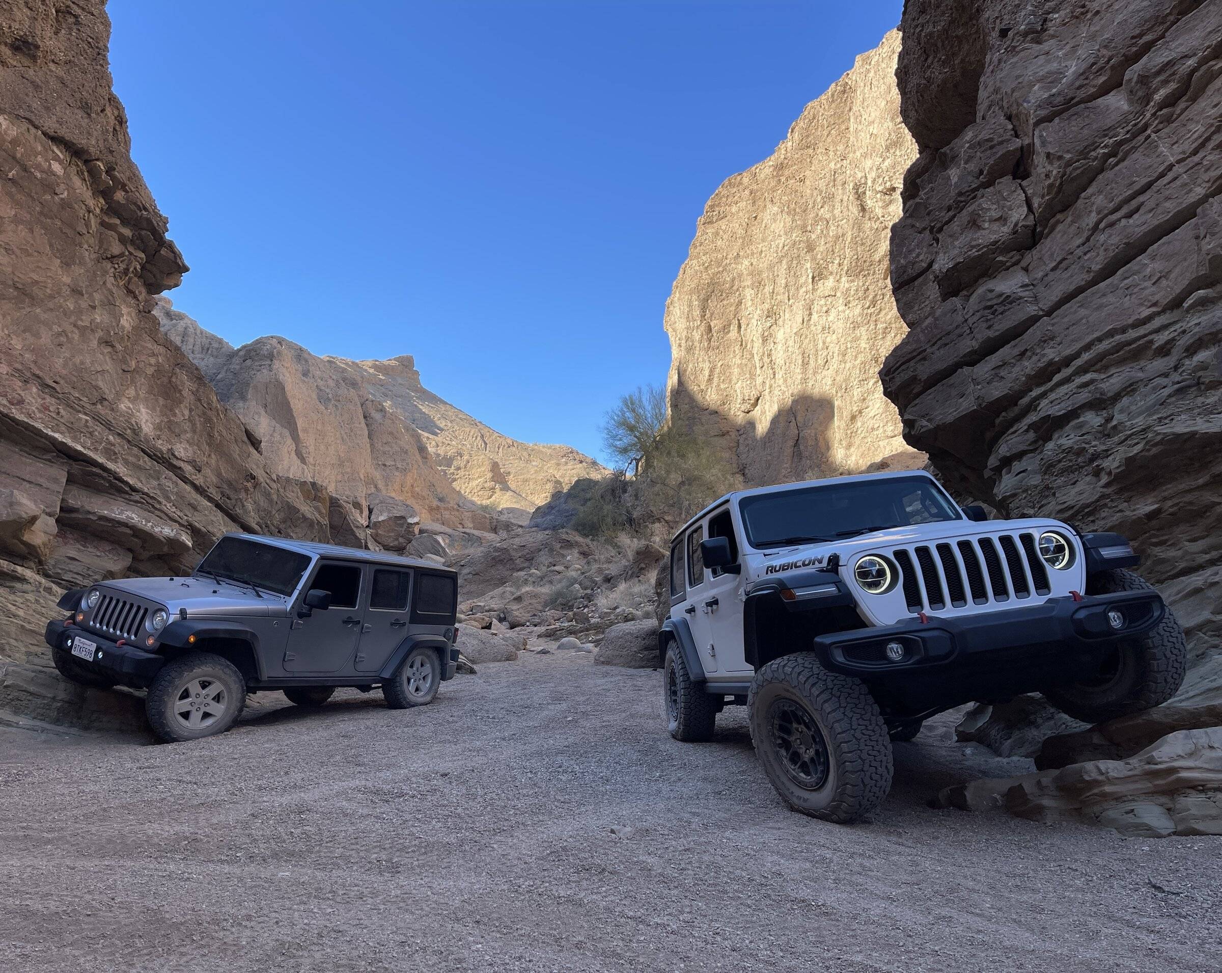 Jeep Wrangler JL Went wheelin with a buddy 075B0FAA-7452-416E-9A2D-50A4ADC38EB3