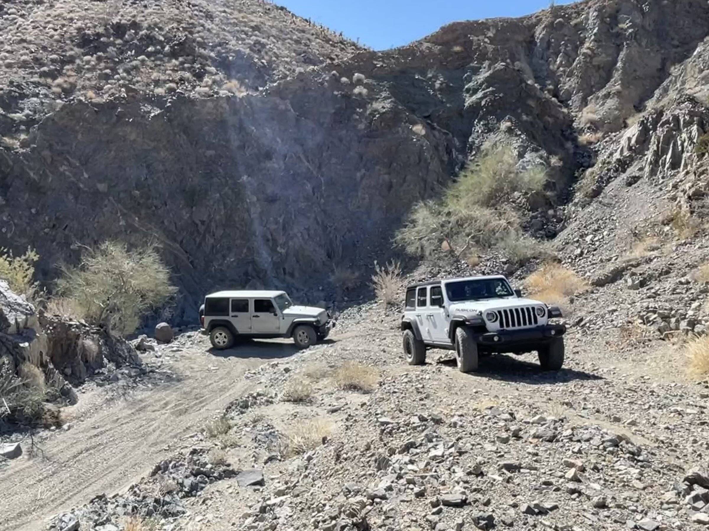 Jeep Wrangler JL Went wheelin with a buddy A08427B4-2460-4476-86B7-8970090D84C1