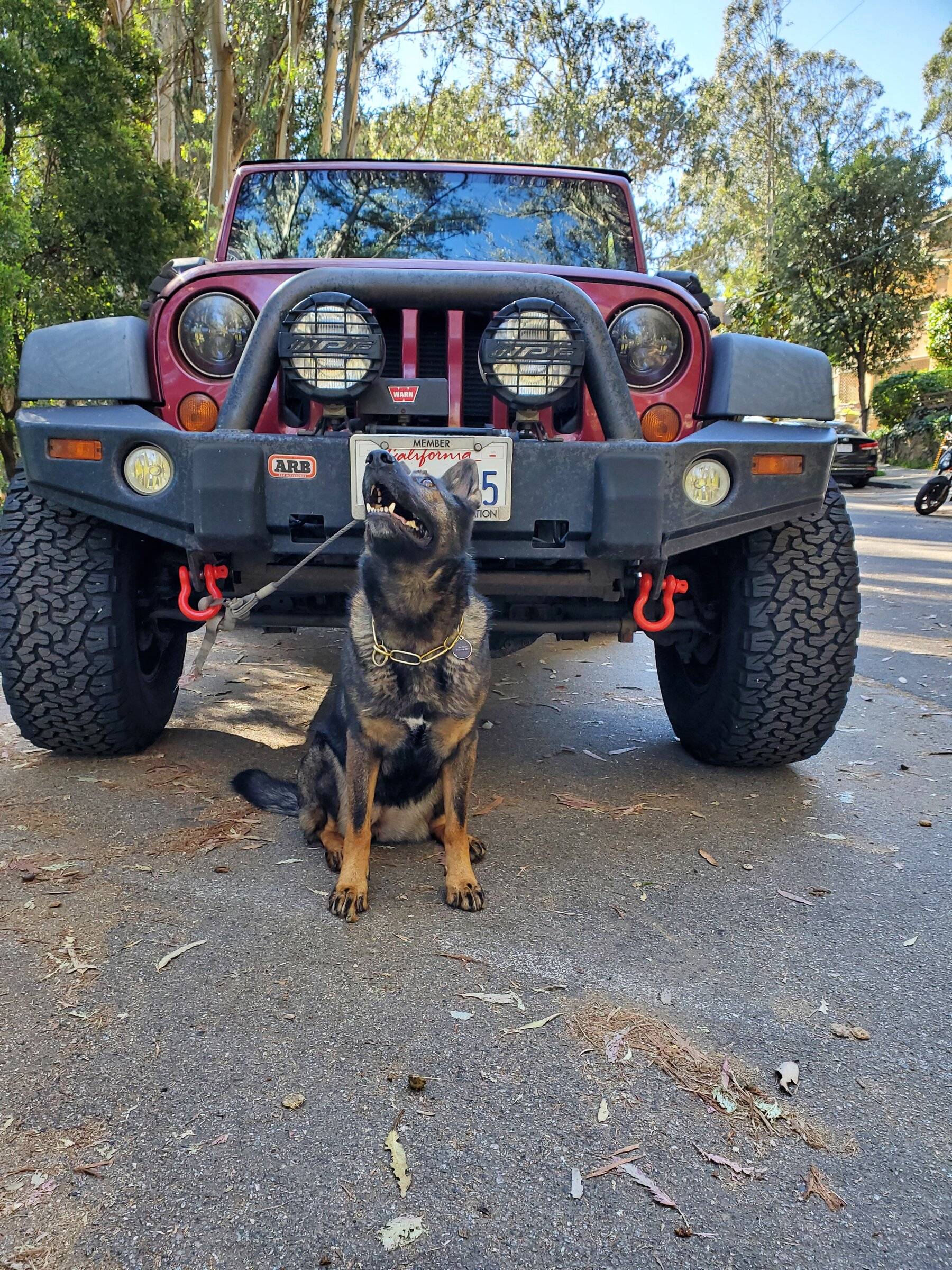 Jeep Wrangler JL Show your grille 20220215_120733