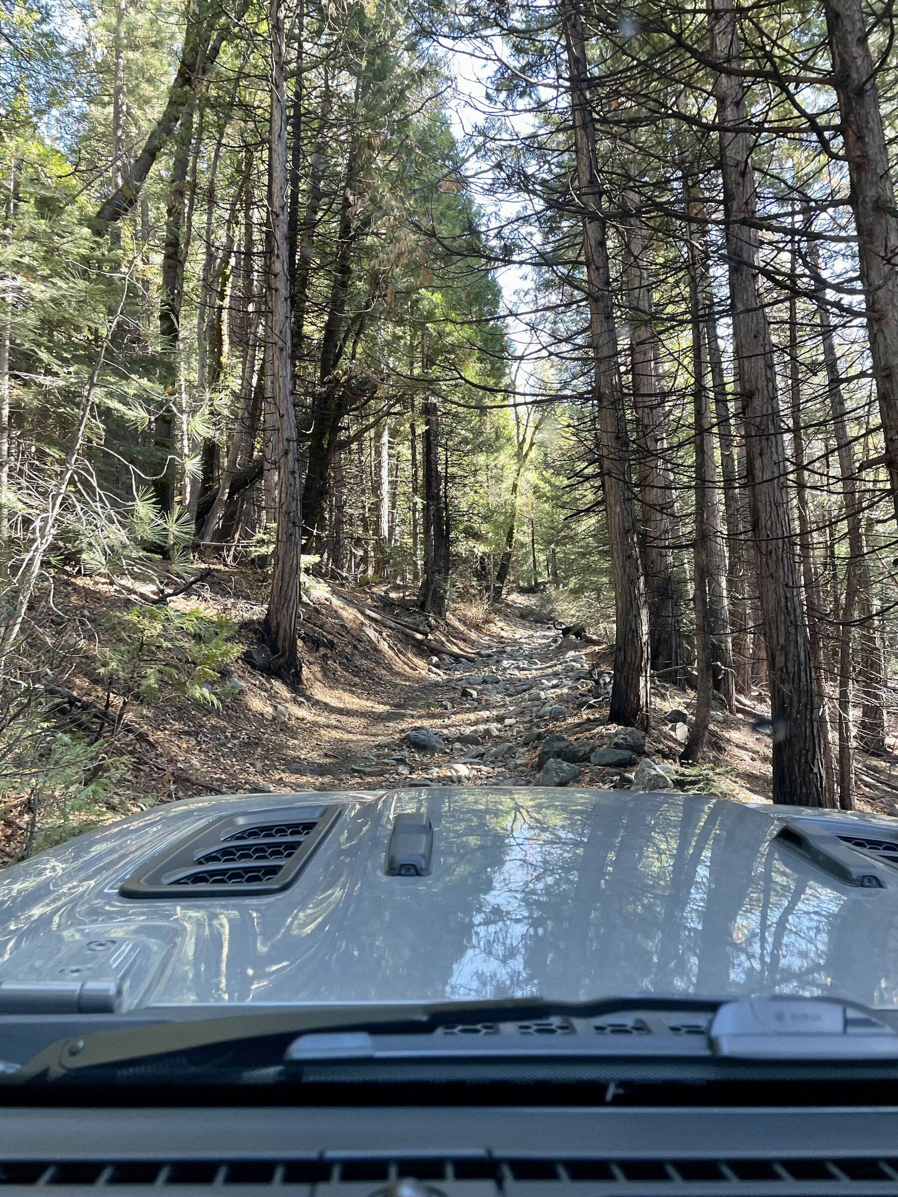 Jeep Wrangler JL My modest JLUR build EA478068-0F03-453F-8D59-8FB55F63CA1C
