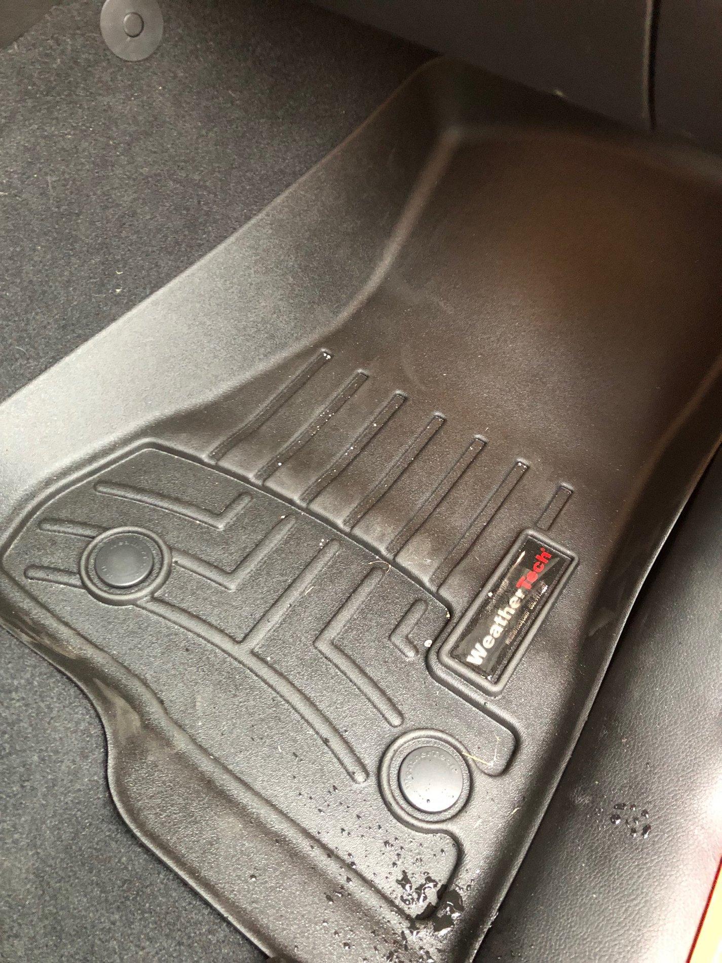 Jeep Wrangler JL What did you do TO your Jeep JL today? image3